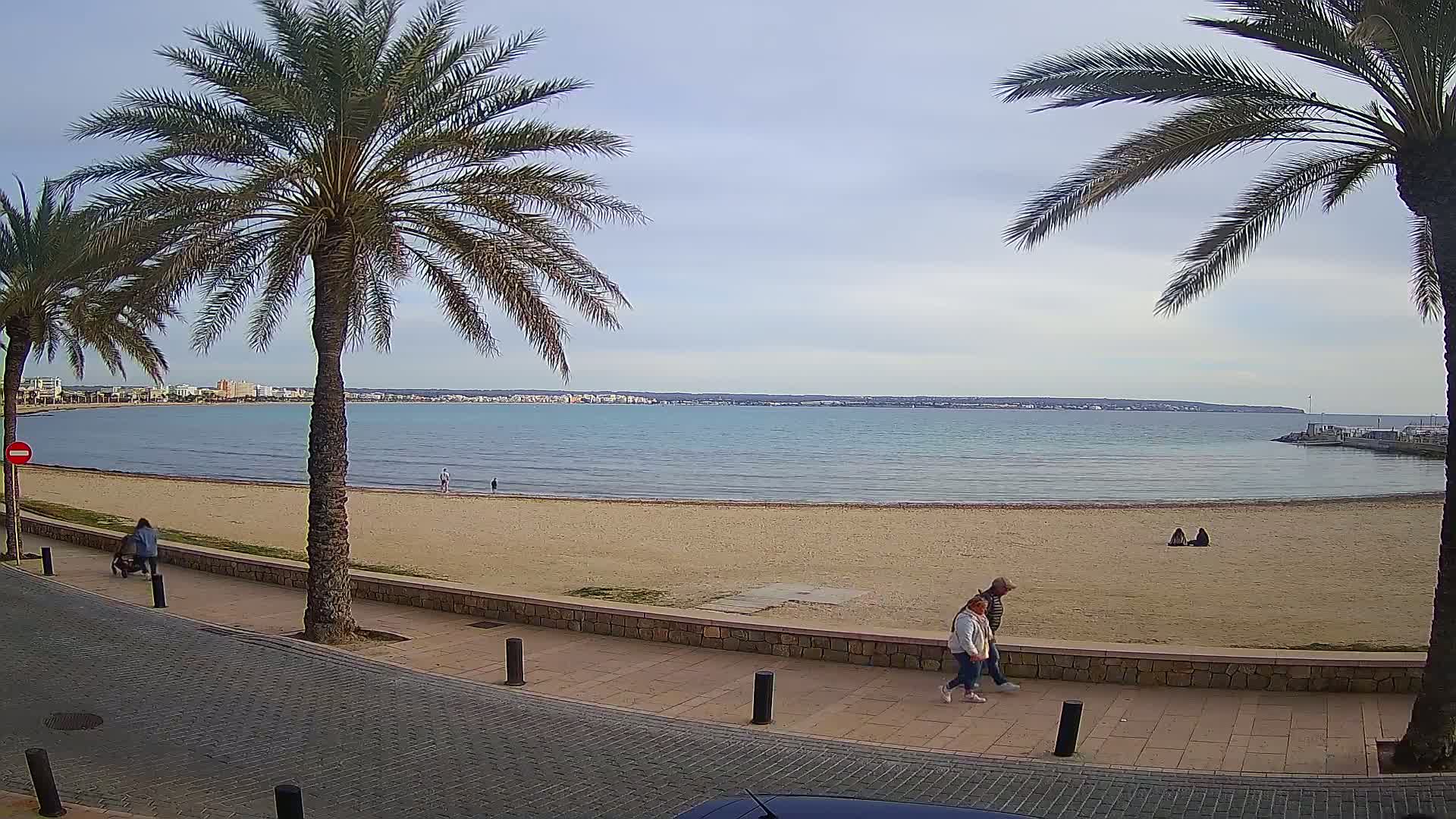 A sandy beach with calm, light-blue water stretches out to a distant coastline under a mostly cloudy sky, and palm trees line a paved walkway where several people stroll.
