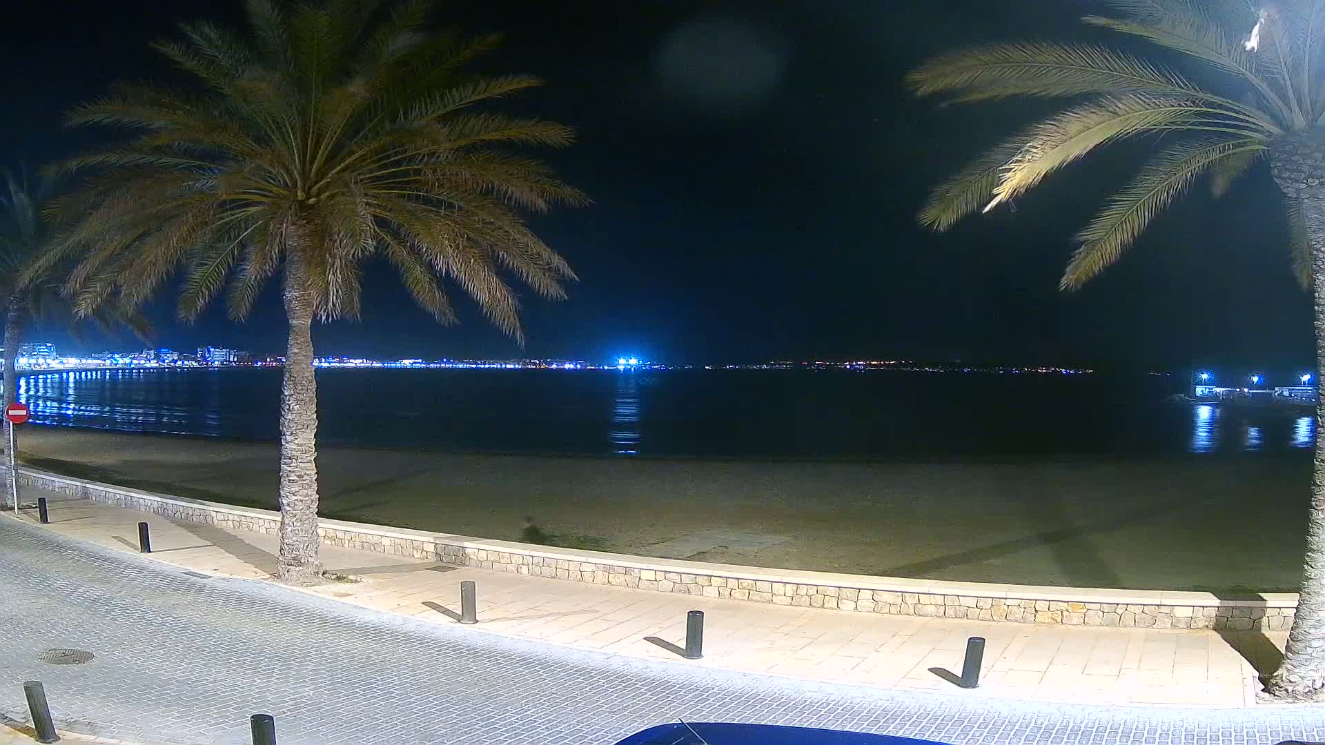 A nighttime view of a calm beach with palm trees lining a paved walkway, overlooking a city skyline across the water.