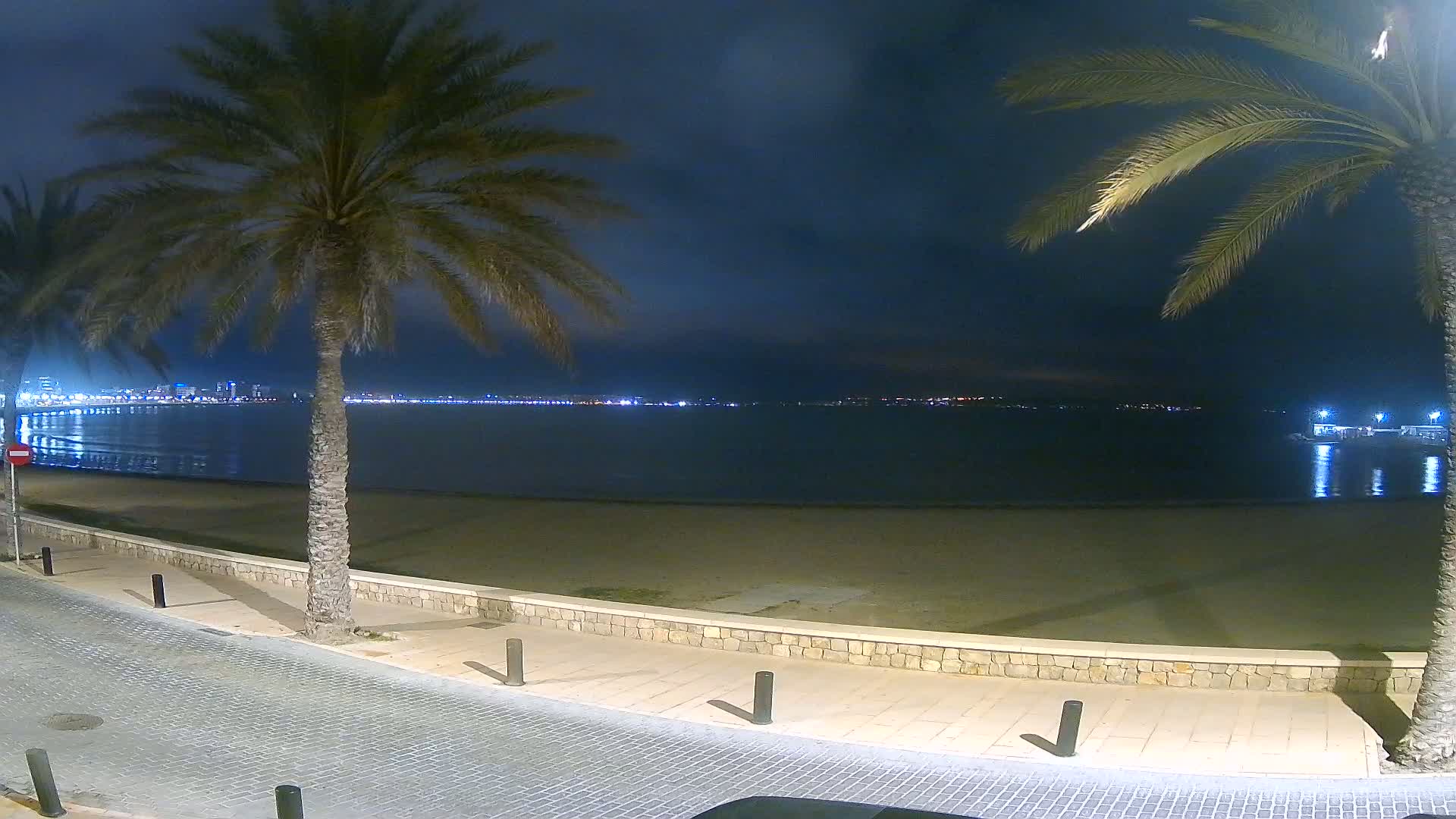 A nighttime view of a sandy beach and calm ocean, with palm trees lining a paved walkway and a distant city skyline illuminated.