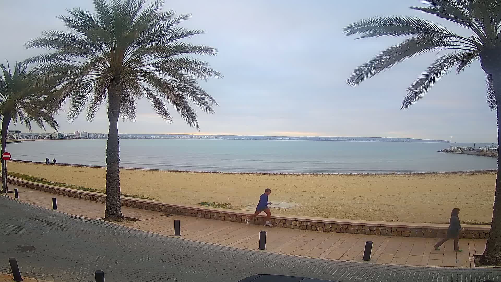 Two people walk along a paved beachfront path next to a sandy beach and calm sea under a cloudy sky, with palm trees lining the path and a distant town visible across the water.