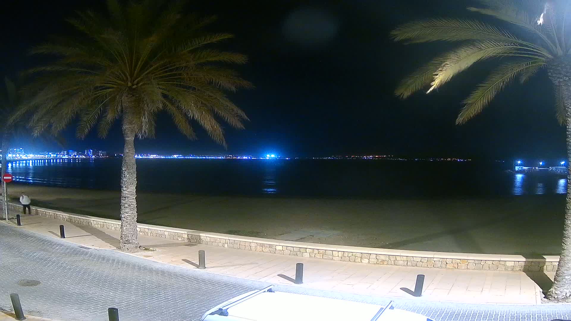 A nighttime beach scene shows a calm body of water reflecting city lights across the horizon, palm trees lining a paved walkway beside the sandy shore.
