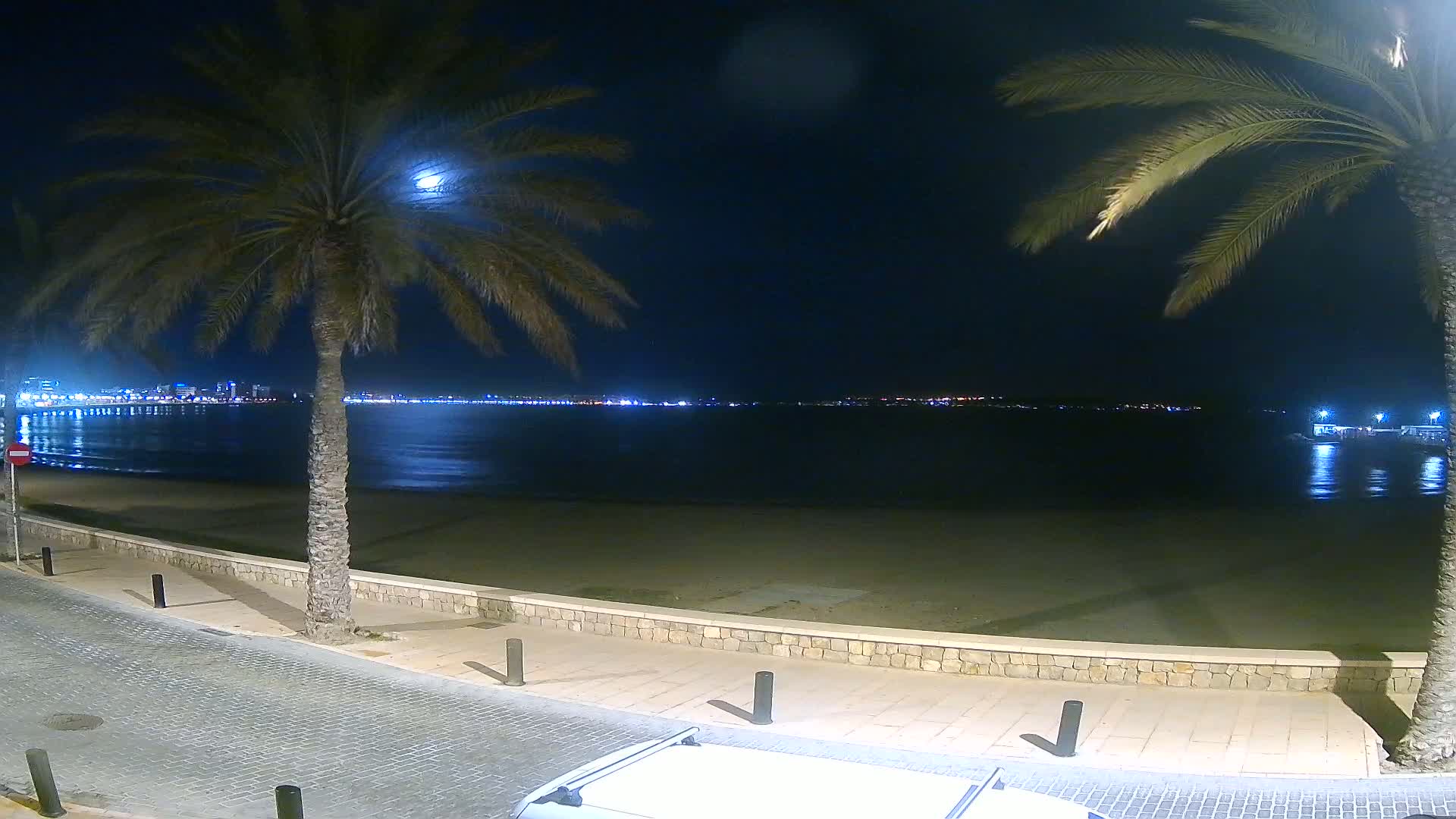 A moonlit night scene shows a sandy beach, palm trees, and a city skyline across calm water.