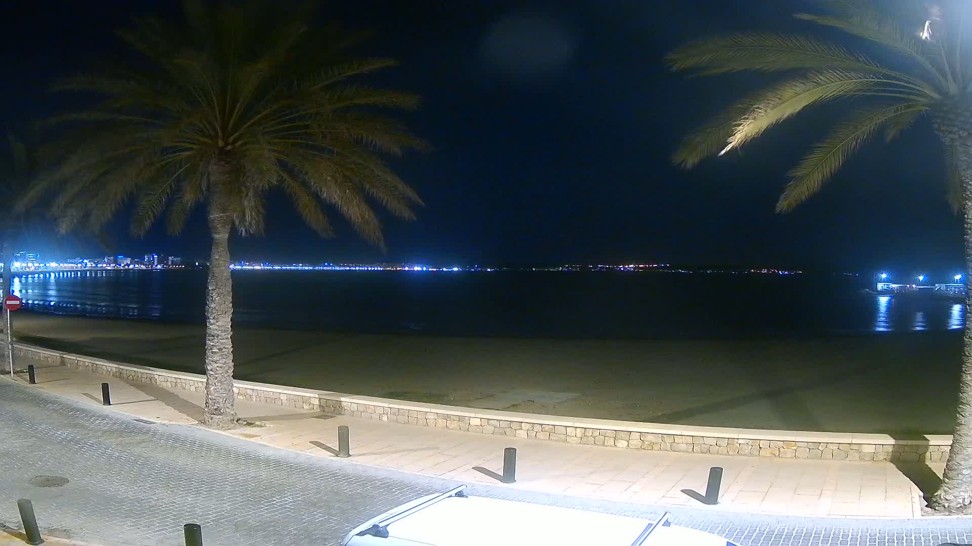 A nighttime view of a sandy beach with palm trees, a calm sea, and a city skyline illuminated in the distance.