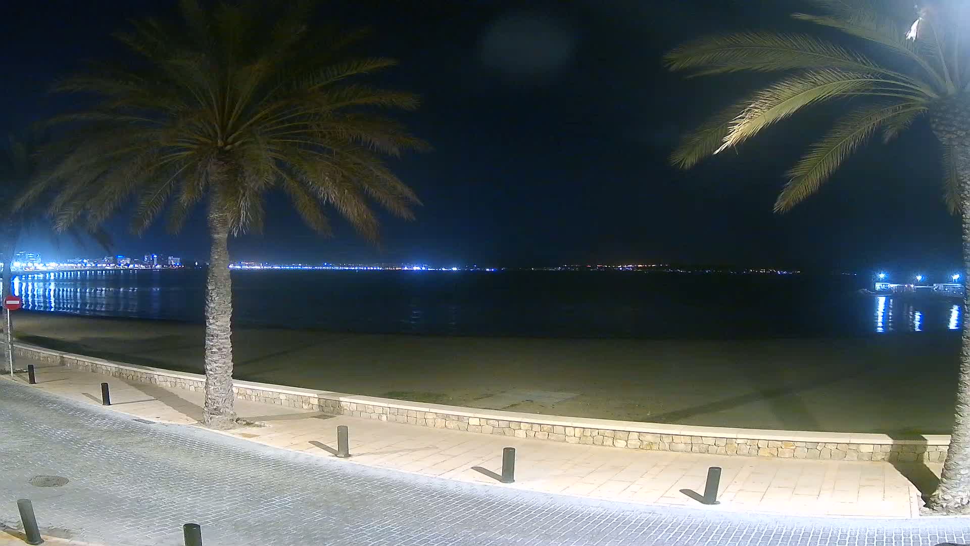 A nighttime view of a sandy beach and calm water, with palm trees lining a paved walkway and a city skyline illuminated across the water.