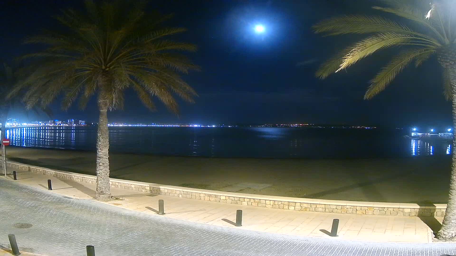 A moonlit night scene shows a calm body of water reflecting city lights across from a sandy beach lined with palm trees and a paved walkway.