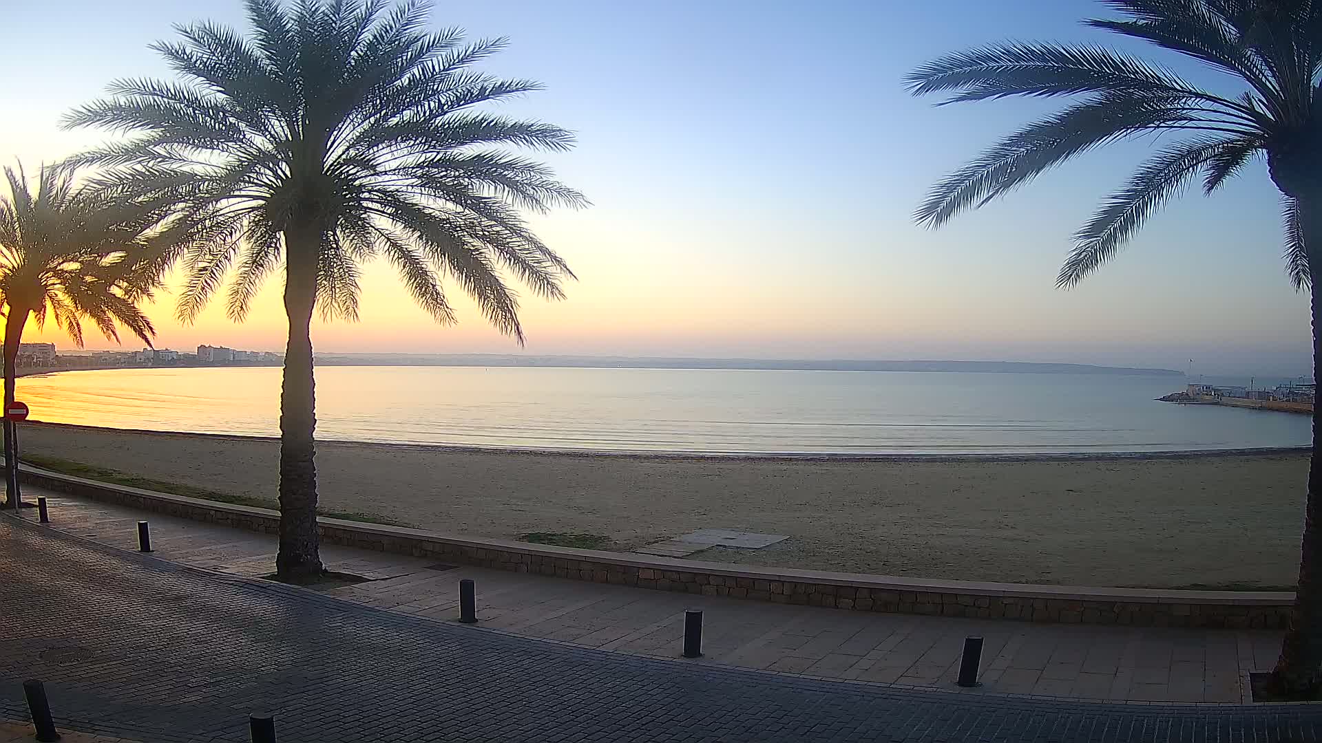 Two palm trees stand beside a paved walkway overlooking a calm, sandy beach at sunrise, with a calm sea extending to a distant shoreline.
