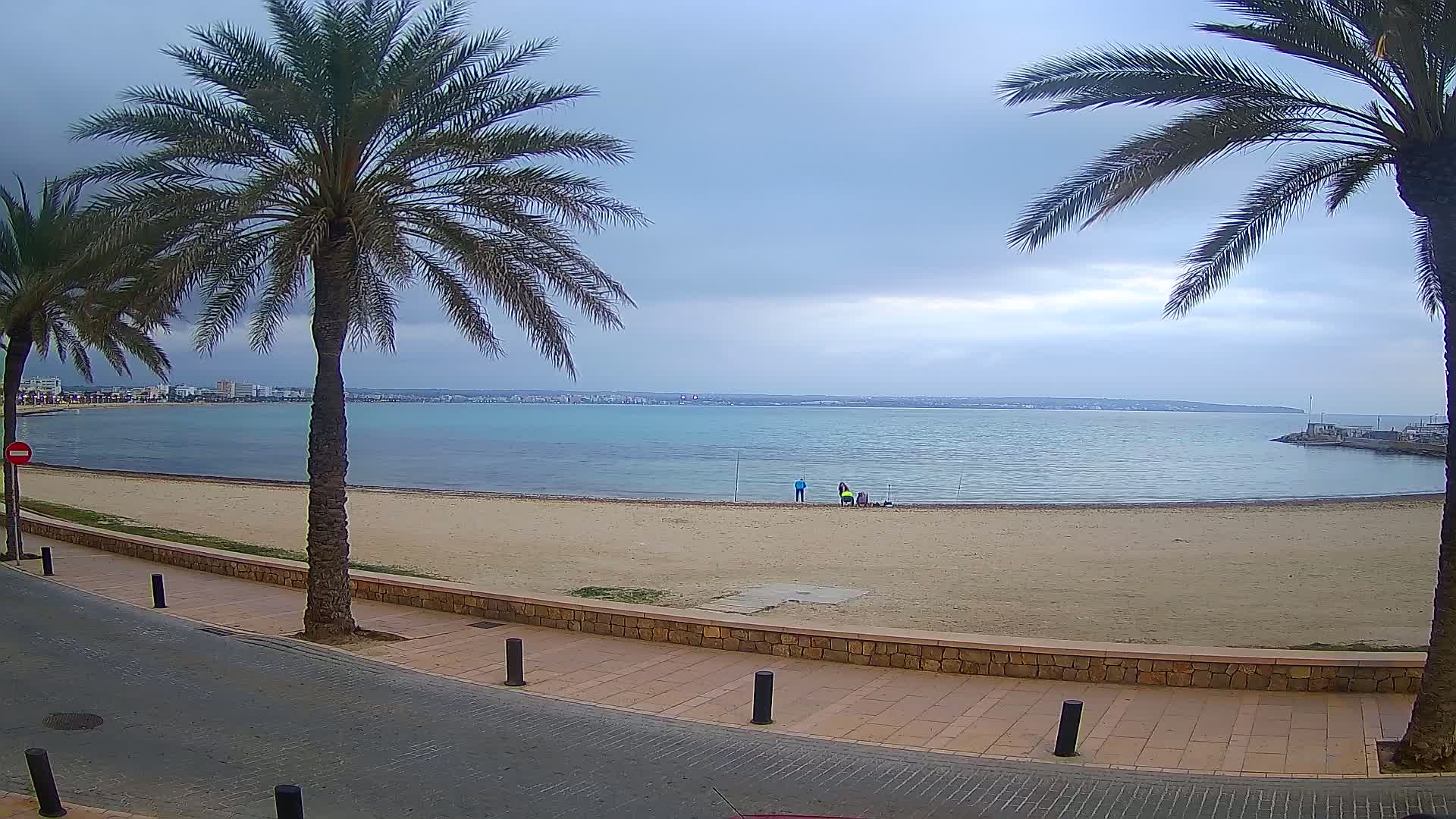 A sandy beach with calm, light-blue water stretches beneath an overcast sky, framed by palm trees and a paved walkway.