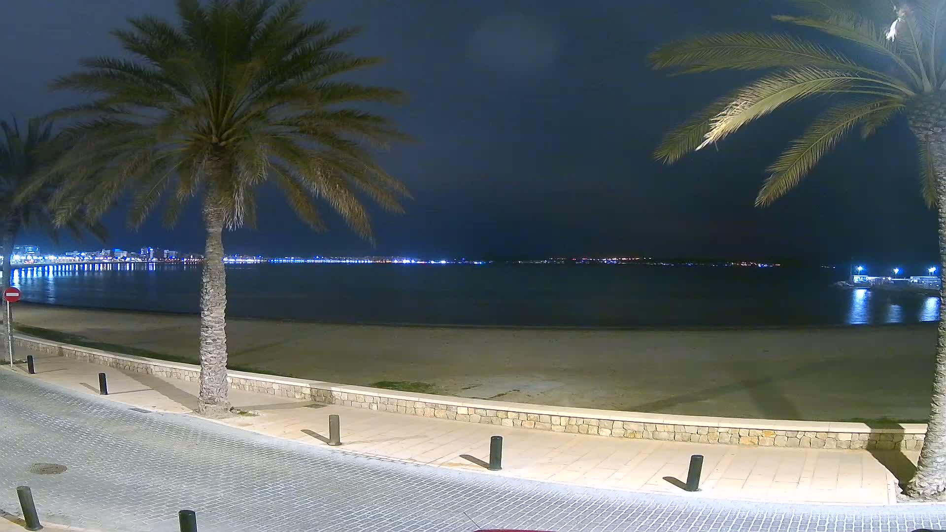 At night, a sandy beach with palm trees lines a paved walkway overlooking a calm body of water and a city skyline illuminated by lights.