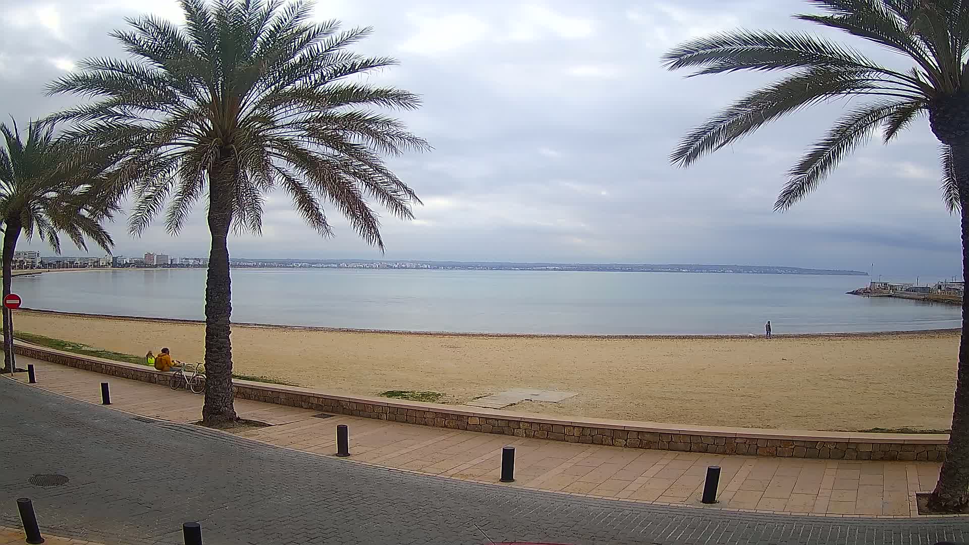 A sandy beach with calm water, palm trees lining a paved walkway, and a few people sitting on the wall near a bicycle, under an overcast sky.