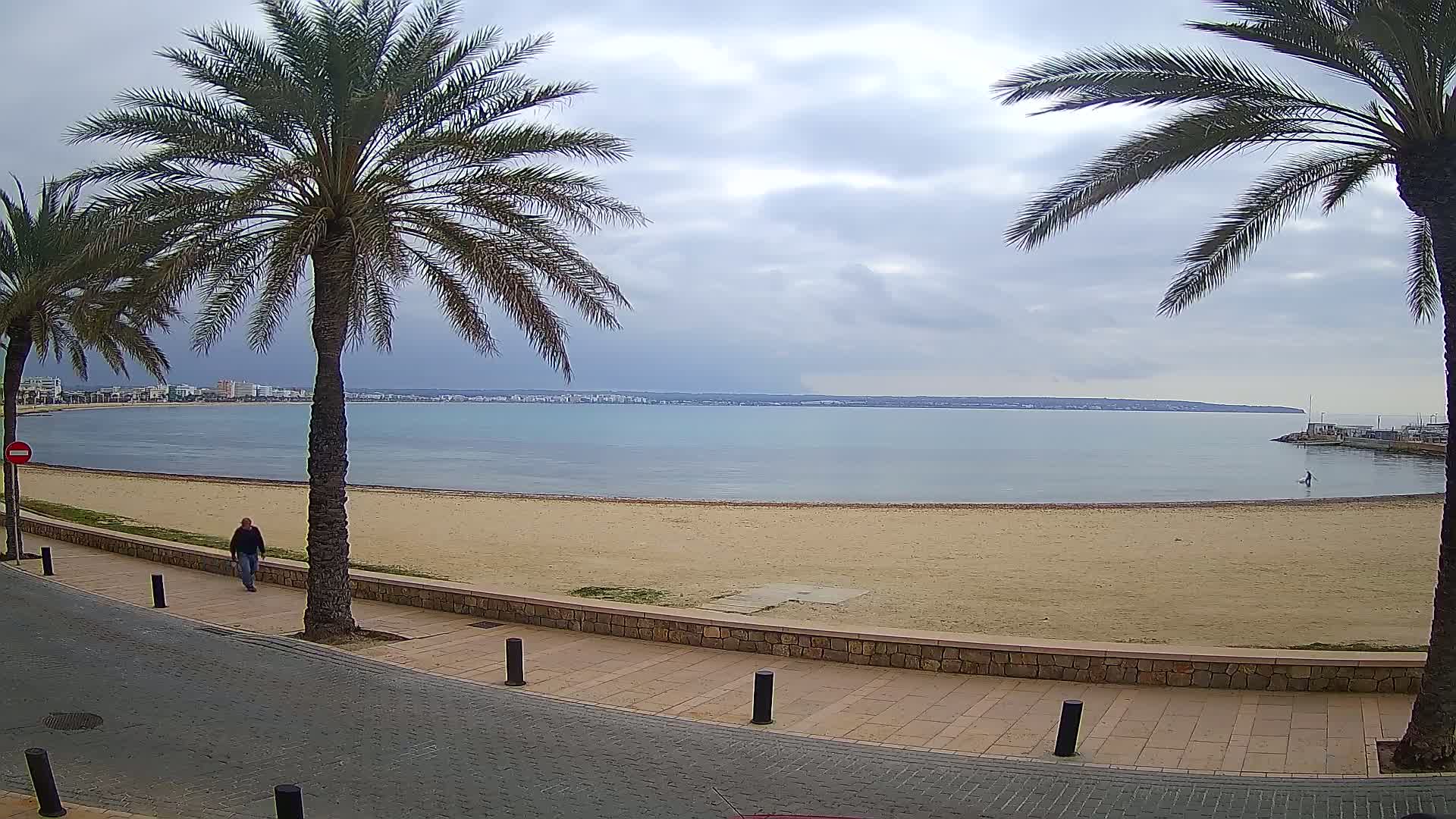A man walks along a paved walkway next to a sandy beach and calm sea under a cloudy sky, with palm trees lining the path.