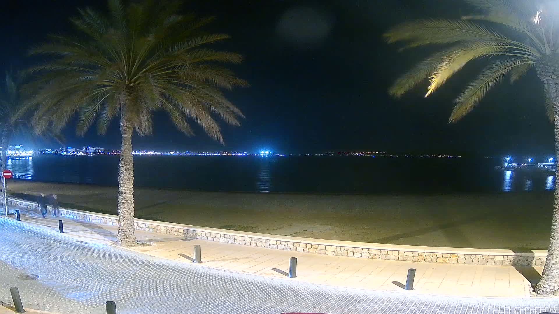A nighttime view of a sandy beach, palm trees, a paved walkway, and a city skyline across a calm body of water.