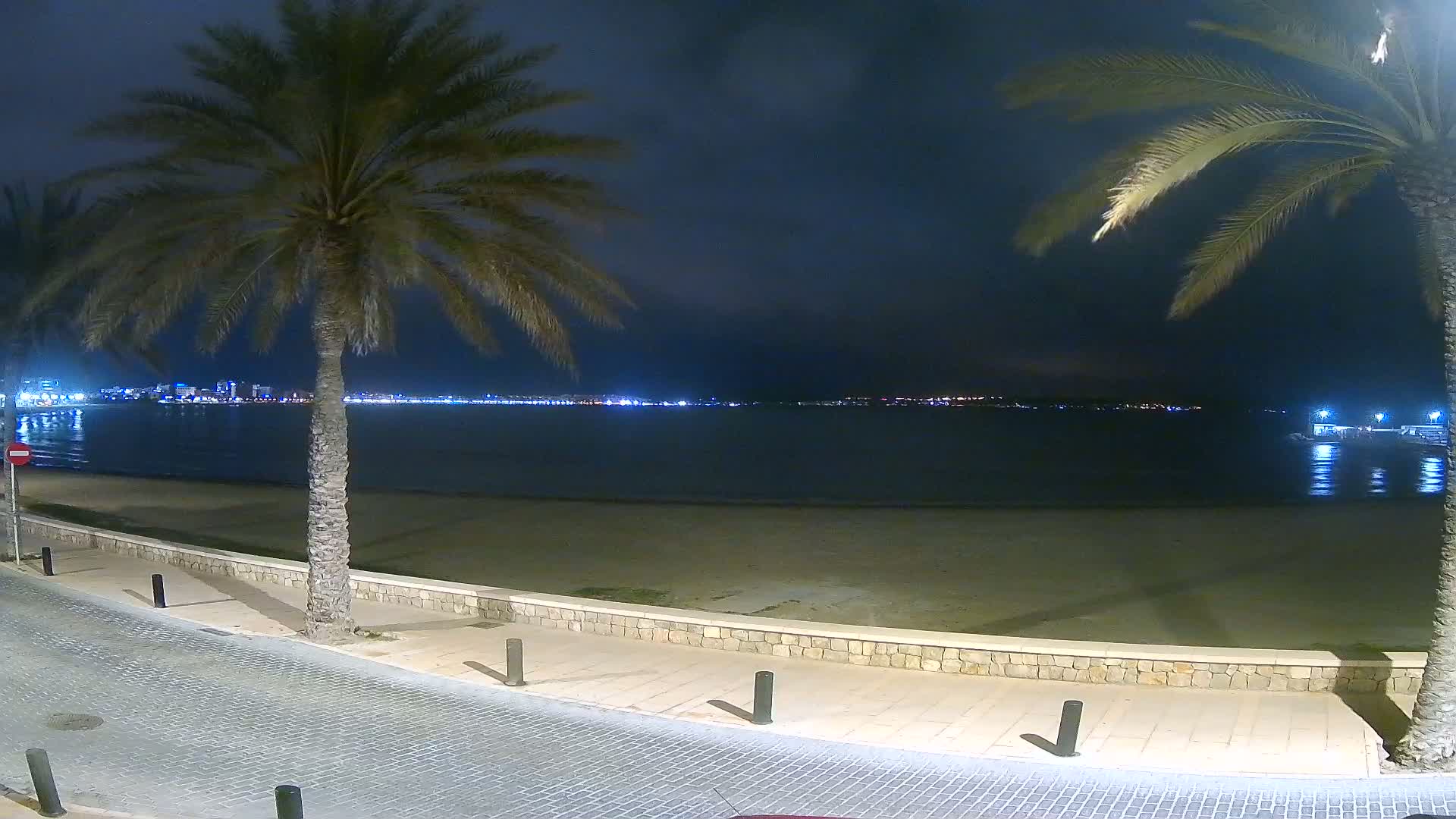 A nighttime view of a calm beach with palm trees lining a paved walkway, overlooking a city skyline across a dark body of water.