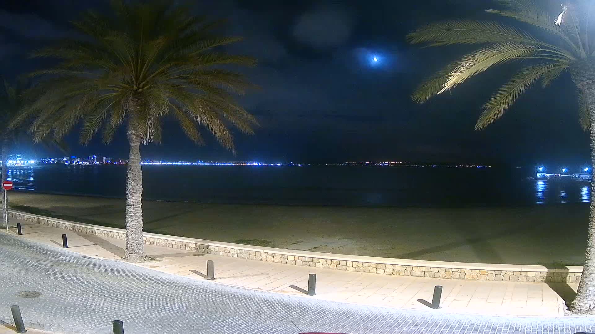 A nighttime view of a calm beach with palm trees lining a paved walkway, overlooking a city skyline illuminated across the water under a partly cloudy moonlit sky.