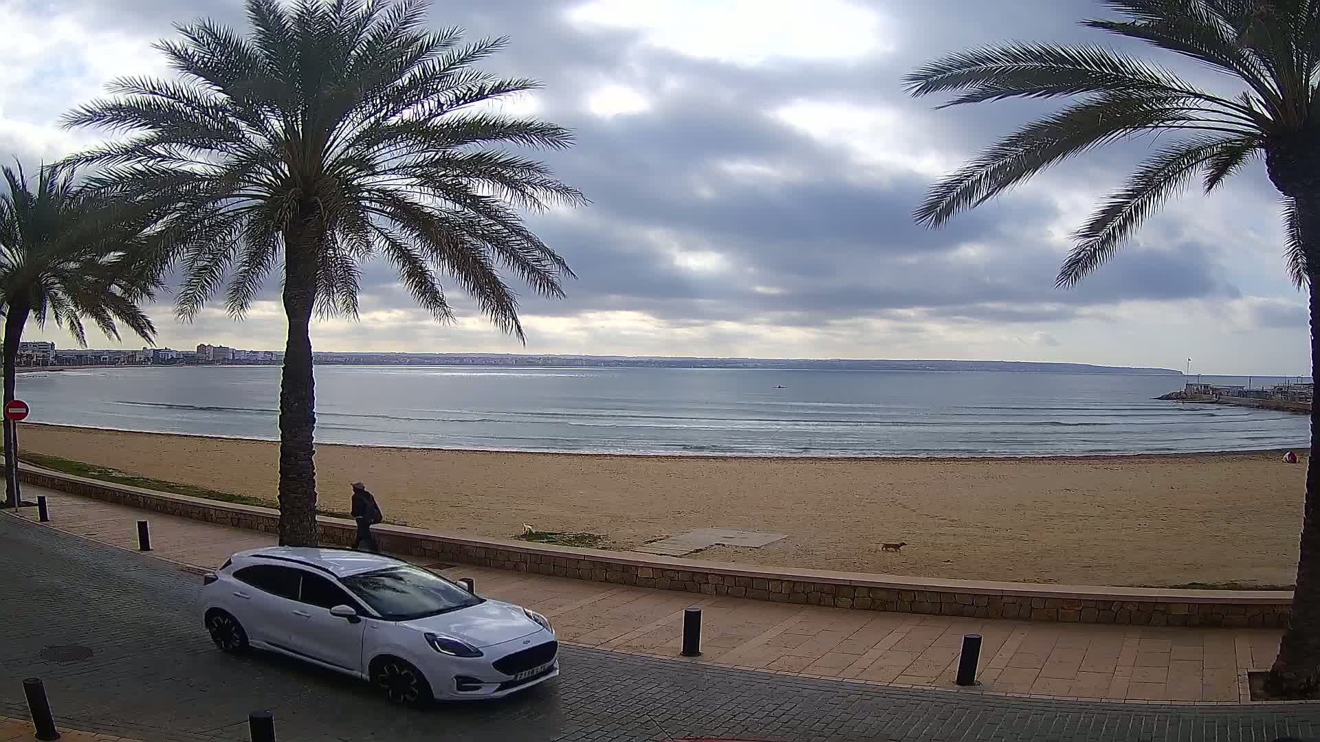 A white SUV is parked on a paved walkway next to a sandy beach with calm waves under a cloudy sky, and palm trees line the walkway.