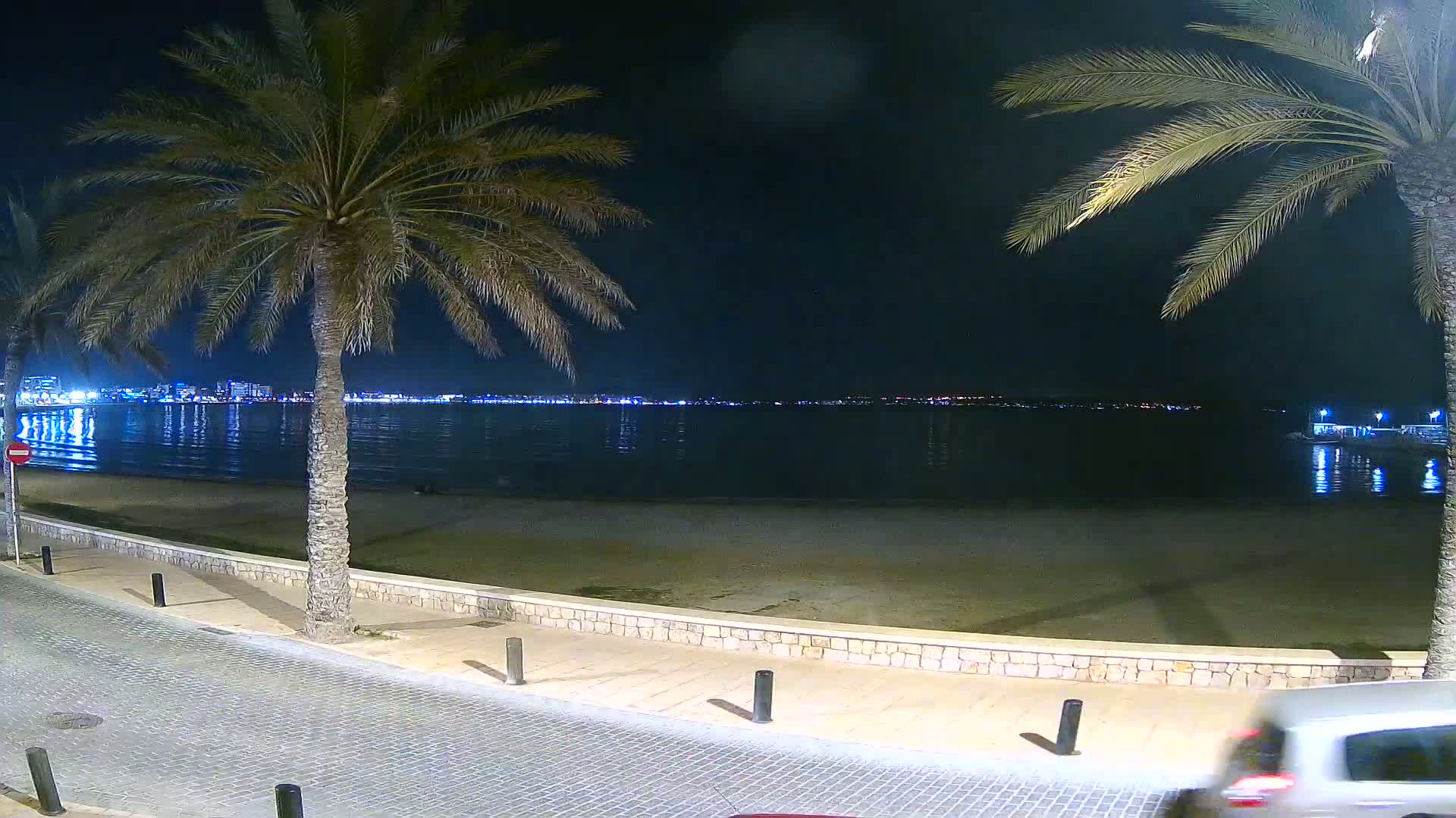 A nighttime view of a calm beach with palm trees, a paved walkway, and a city skyline across the water.