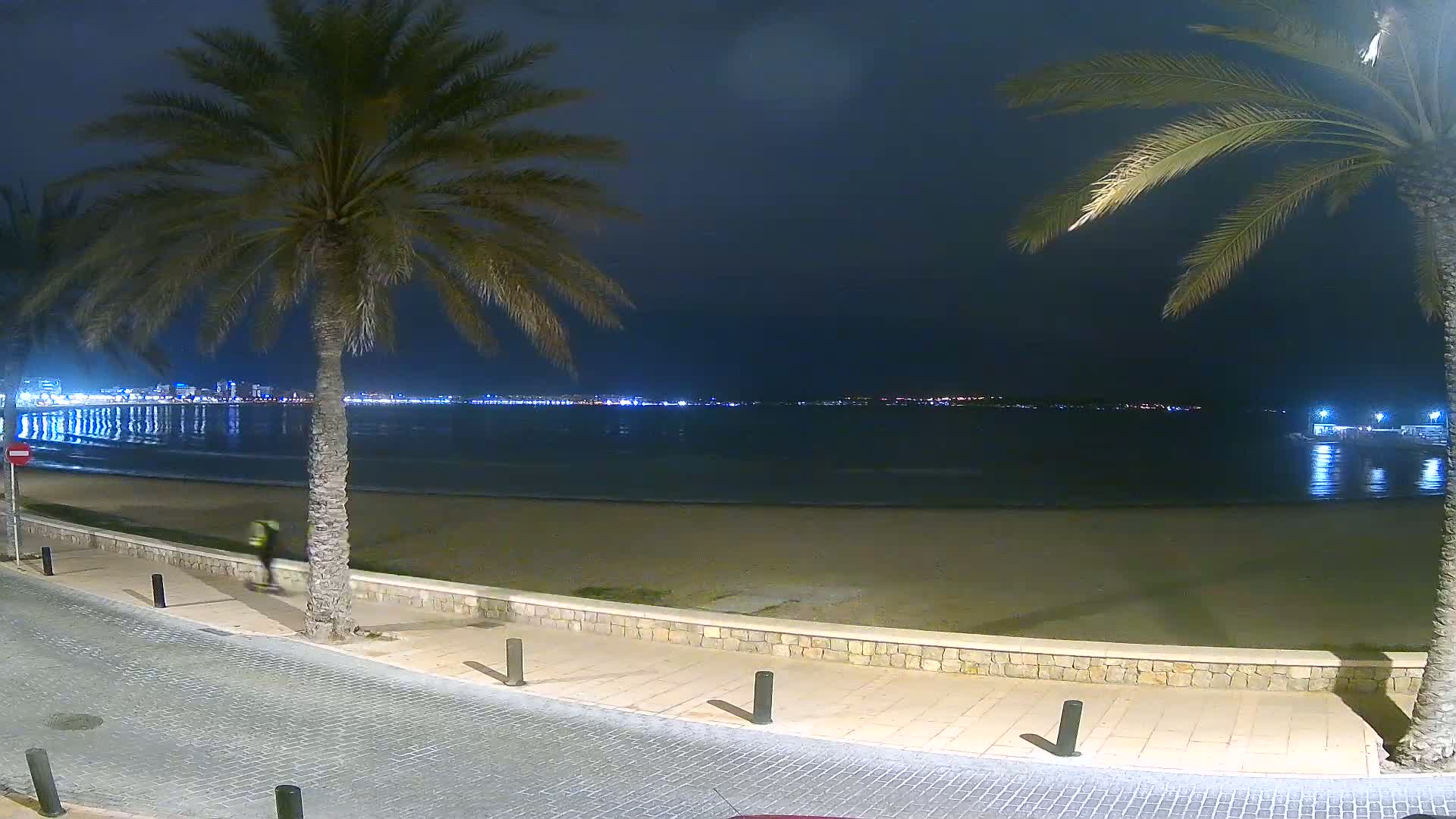 A nighttime view of a sandy beach and calm ocean, with palm trees lining a paved walkway and a city skyline illuminated in the distance.