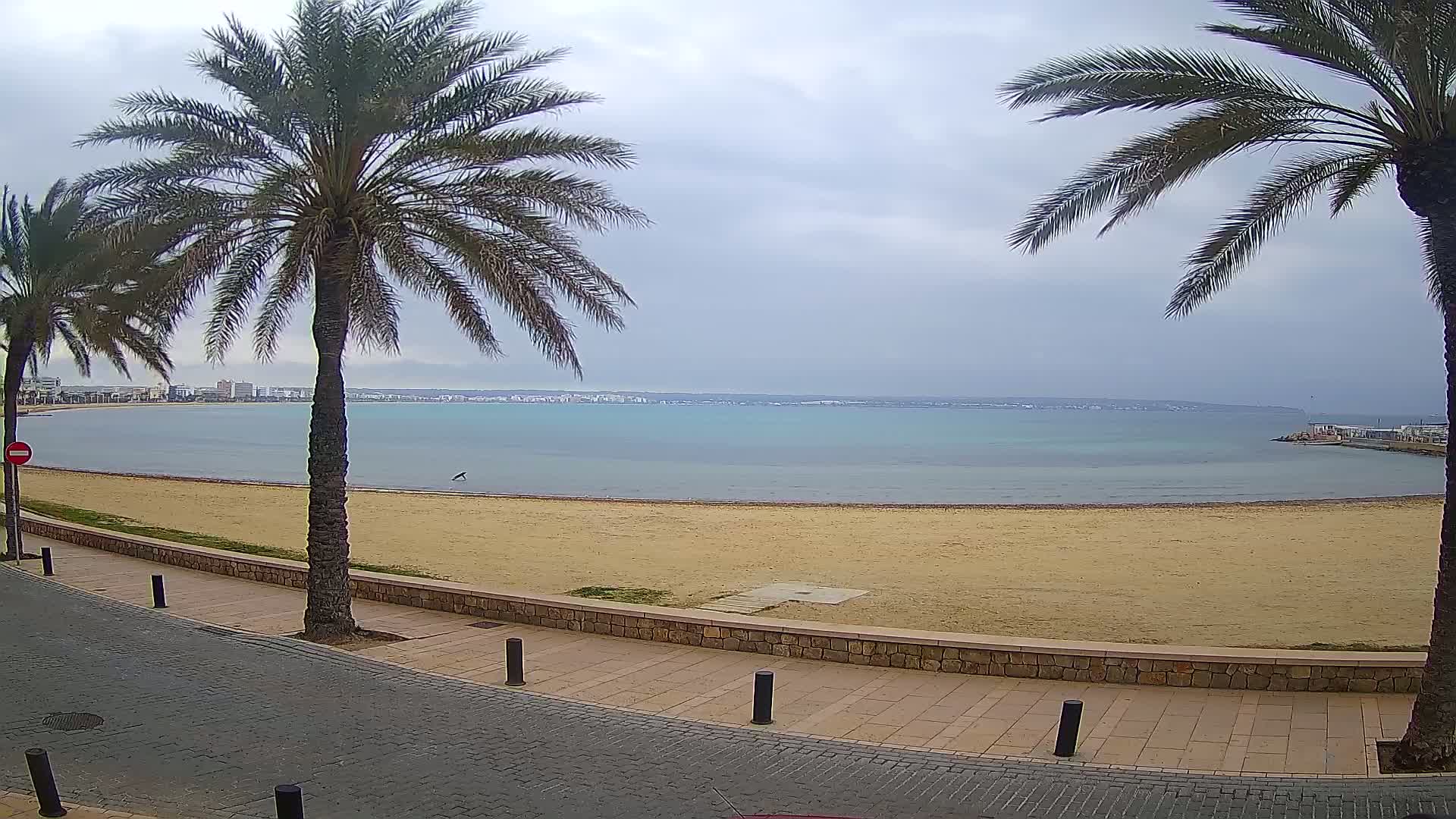 A sandy beach with calm, light-blue water, palm trees, and a paved walkway stretches under an overcast sky.