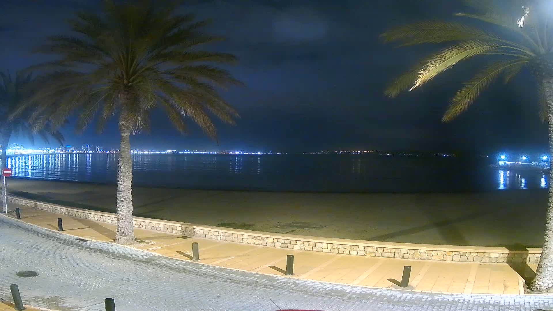 A nighttime view of a calm beach with palm trees, a low stone wall, and a paved walkway overlooking a city skyline across the water.