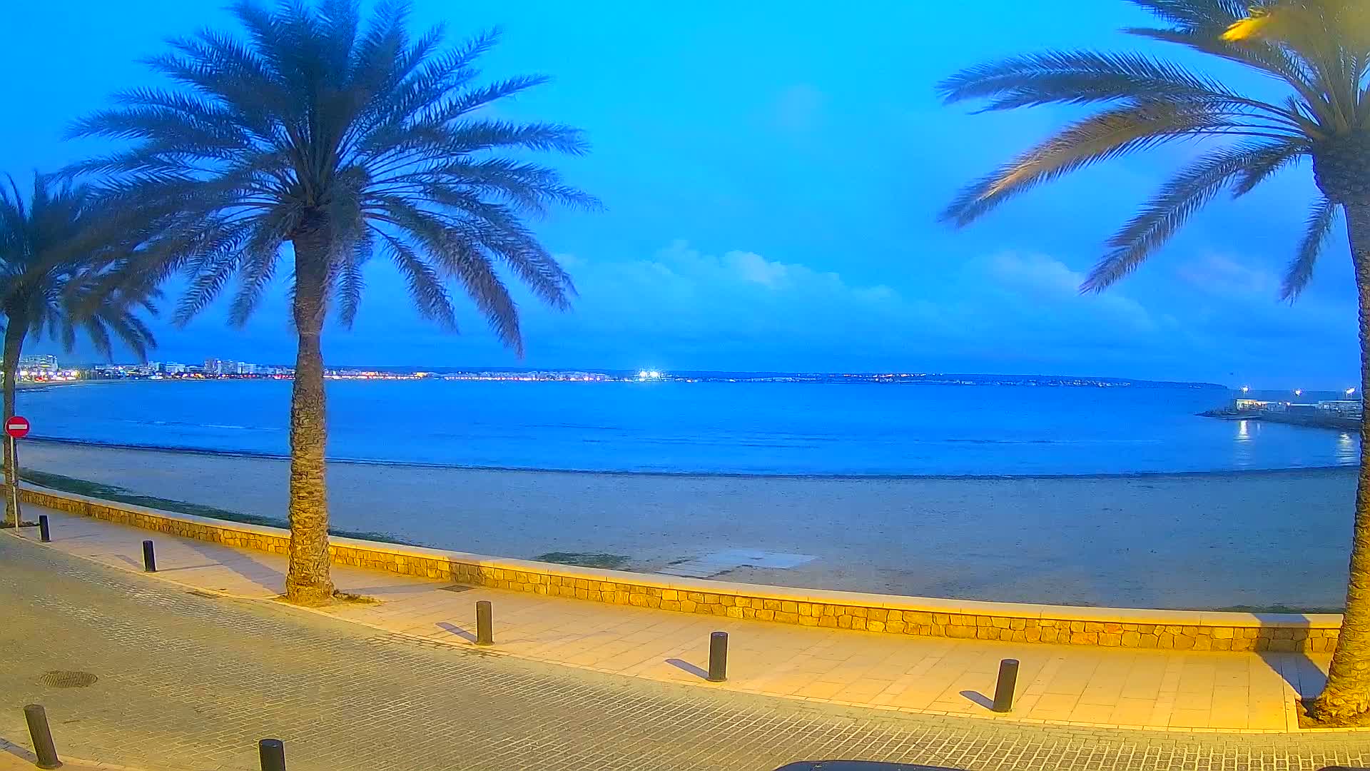 A sandy beach at dusk is bordered by a paved walkway lined with palm trees, overlooking a calm, blue sea and a distant city skyline under a twilight sky.