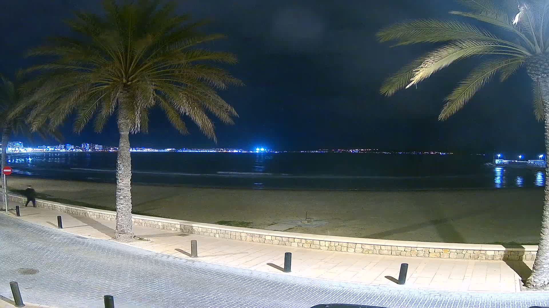 A nighttime view of a sandy beach with palm trees lining a paved walkway, overlooking a calm sea and a distant city skyline illuminated by lights.