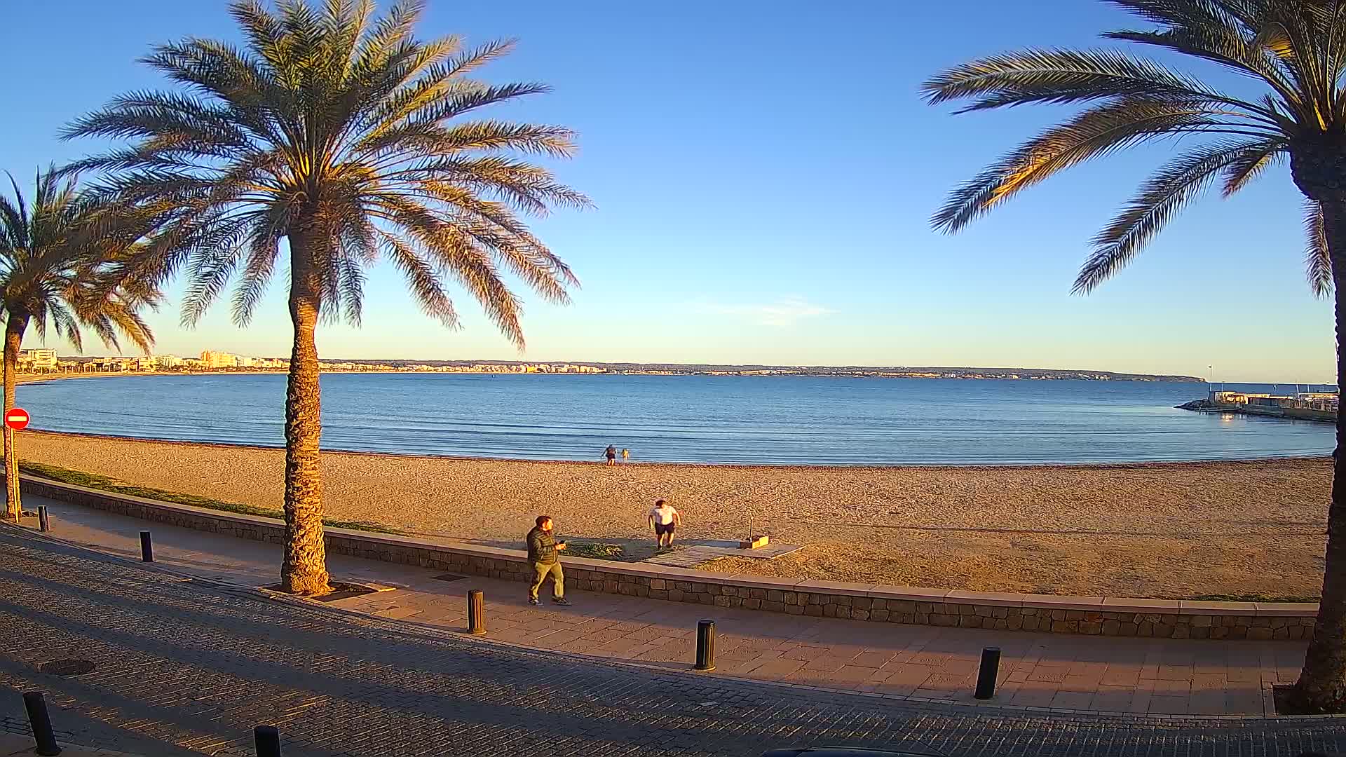 A sandy beach with palm trees lining a paved walkway, overlooks a calm sea under a clear blue sky.
