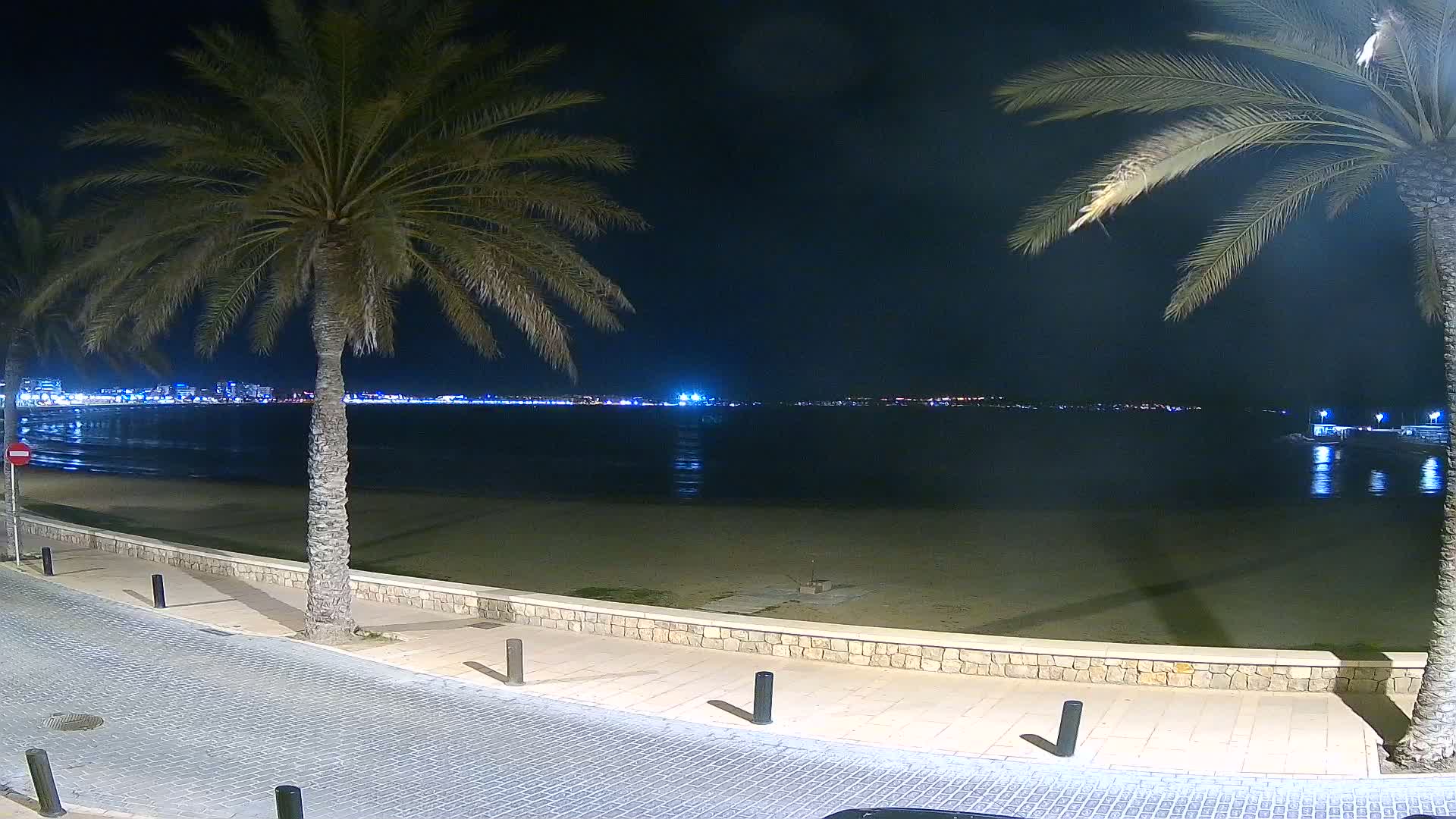 A nighttime view of a sandy beach with palm trees lining a paved walkway, overlooking a calm body of water and a distant city skyline.