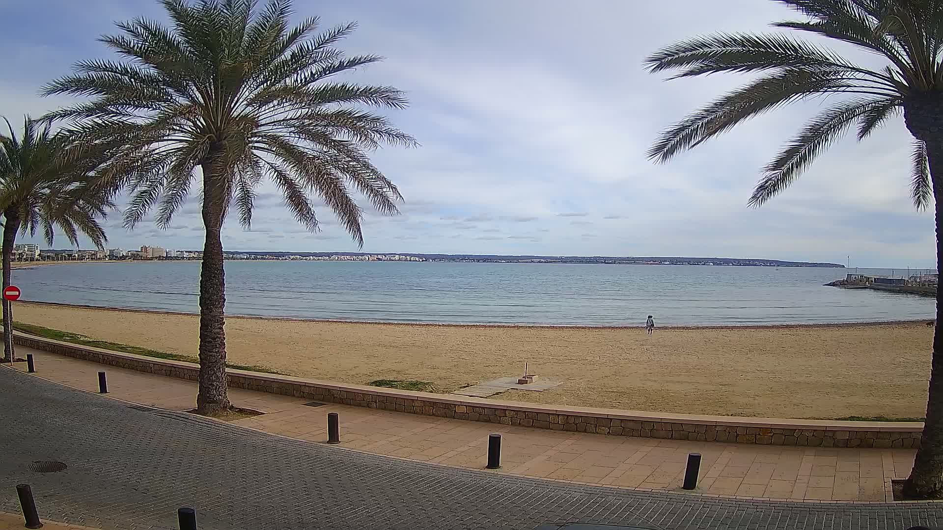 A sandy beach with calm water and a distant cityscape is visible under a partly cloudy sky, framed by two palm trees.