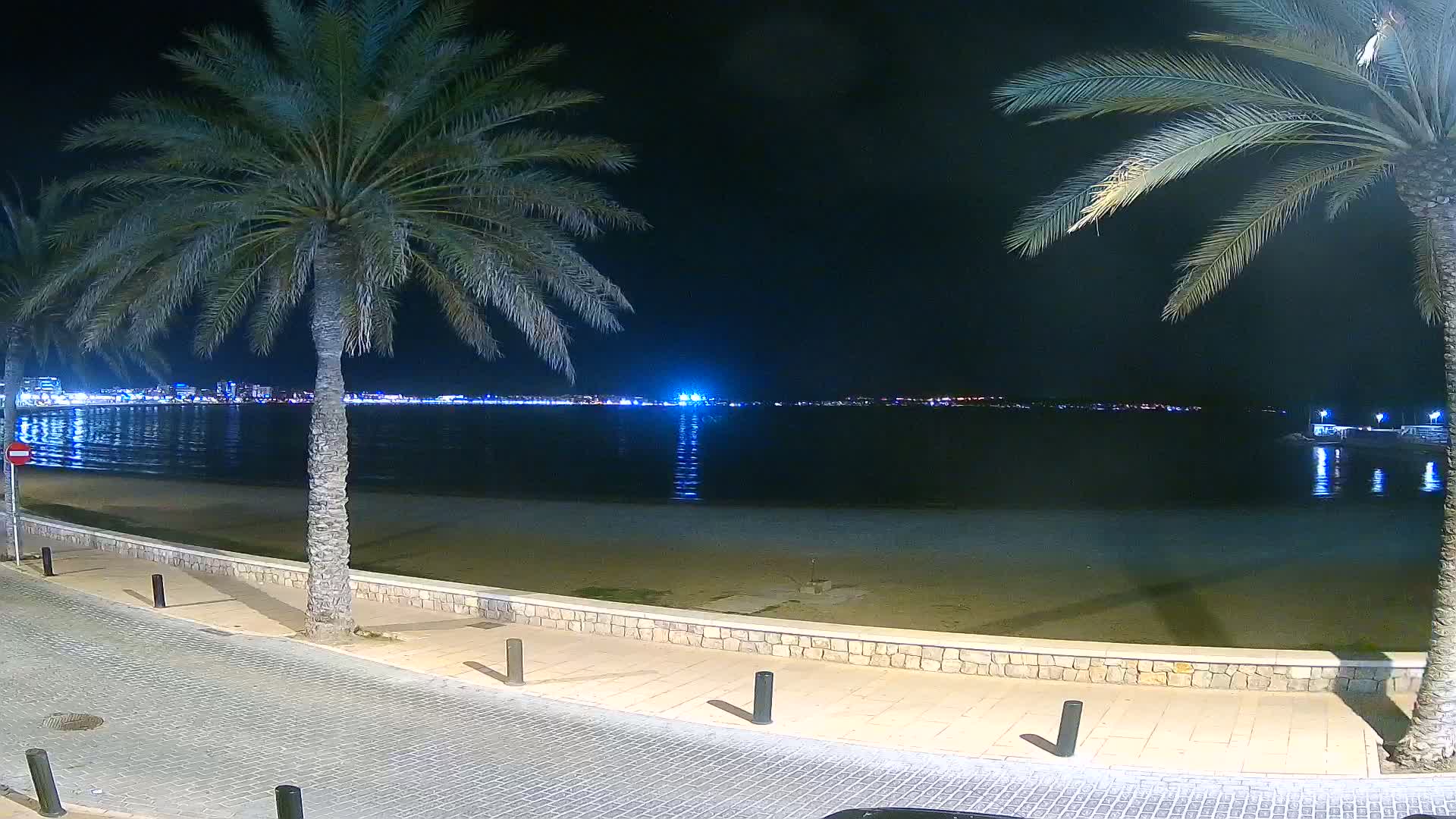 A nighttime view of a calm beach with palm trees lining a paved walkway, overlooking a city illuminated across the water.