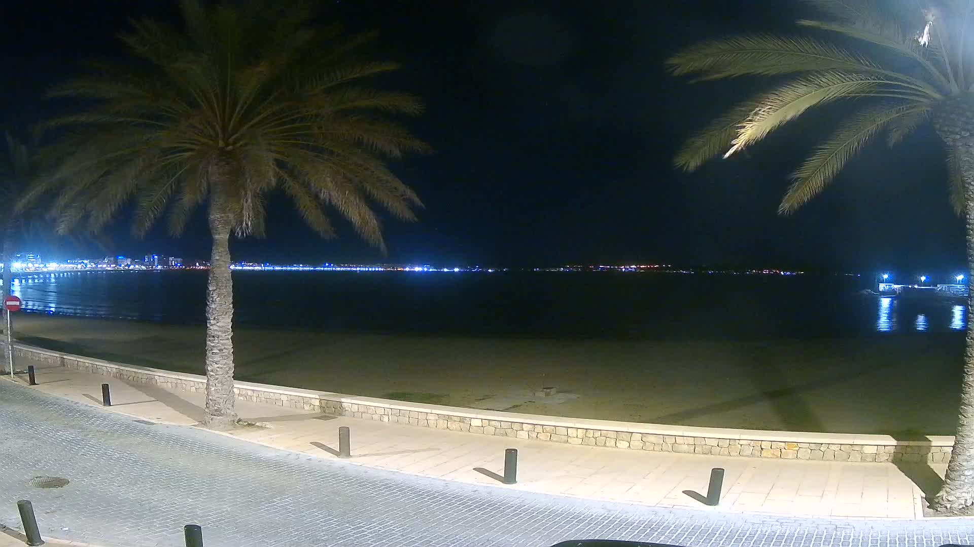 A nighttime view of a sandy beach with palm trees flanking a paved walkway, overlooking a calm body of water and a distant, illuminated cityscape.