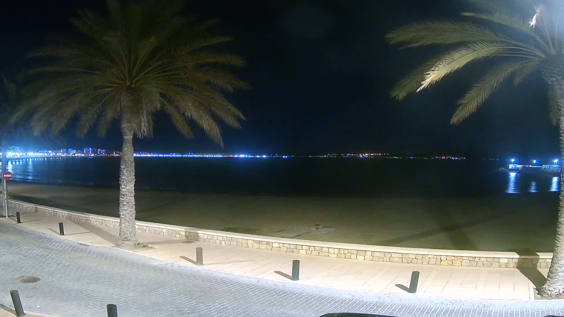 A nighttime view of a sandy beach and calm ocean, with palm trees lining a paved walkway and a city skyline faintly visible in the distance.