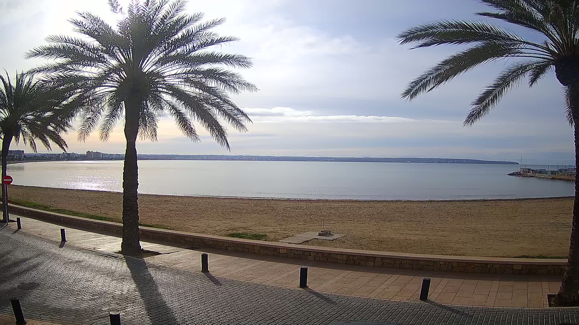 A sandy beach with calm water and palm trees lining a paved walkway under a mostly sunny sky.