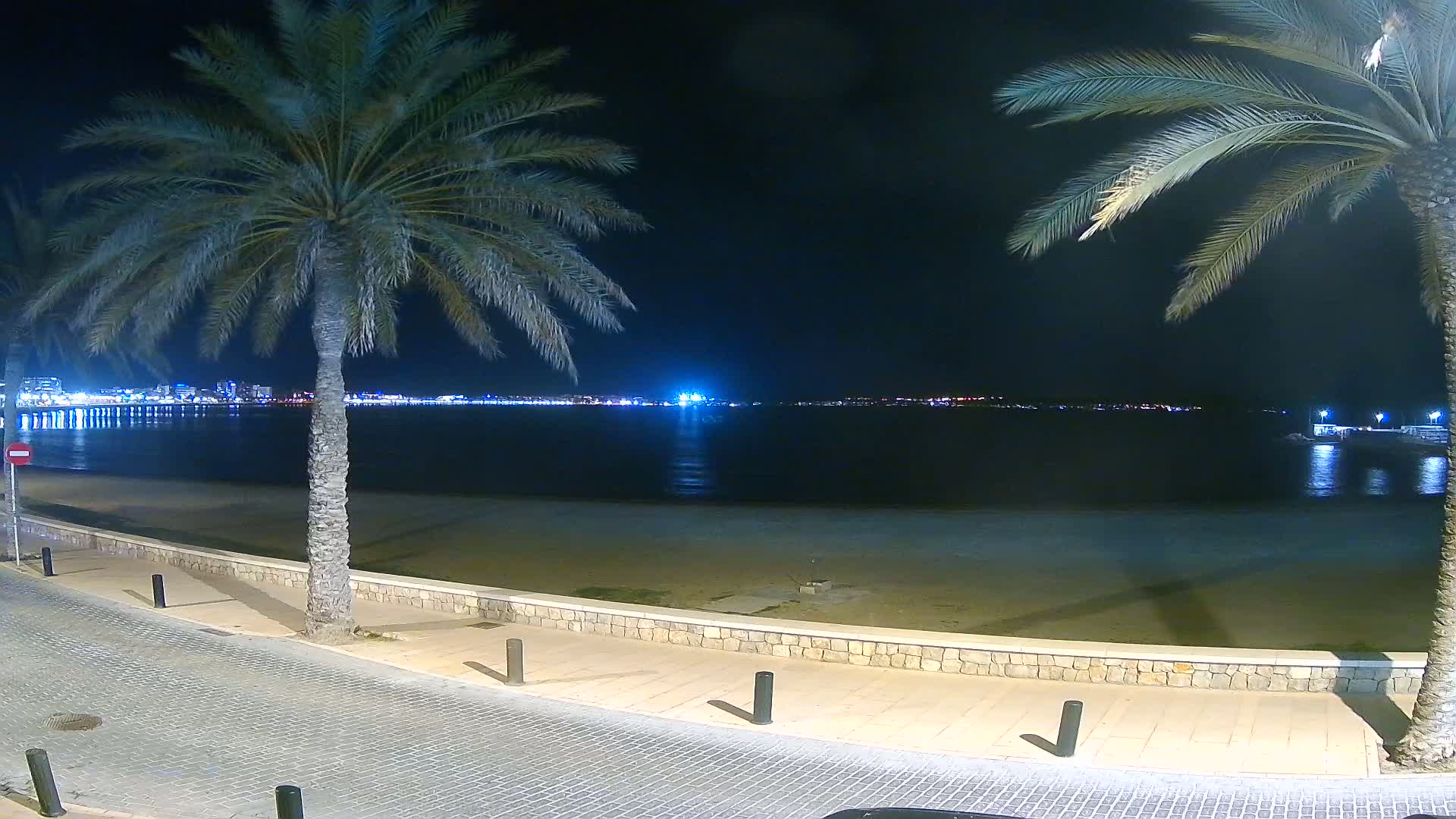 At night, a city's lights illuminate a calm bay, viewed from a paved walkway lined with palm trees beside a sandy beach.