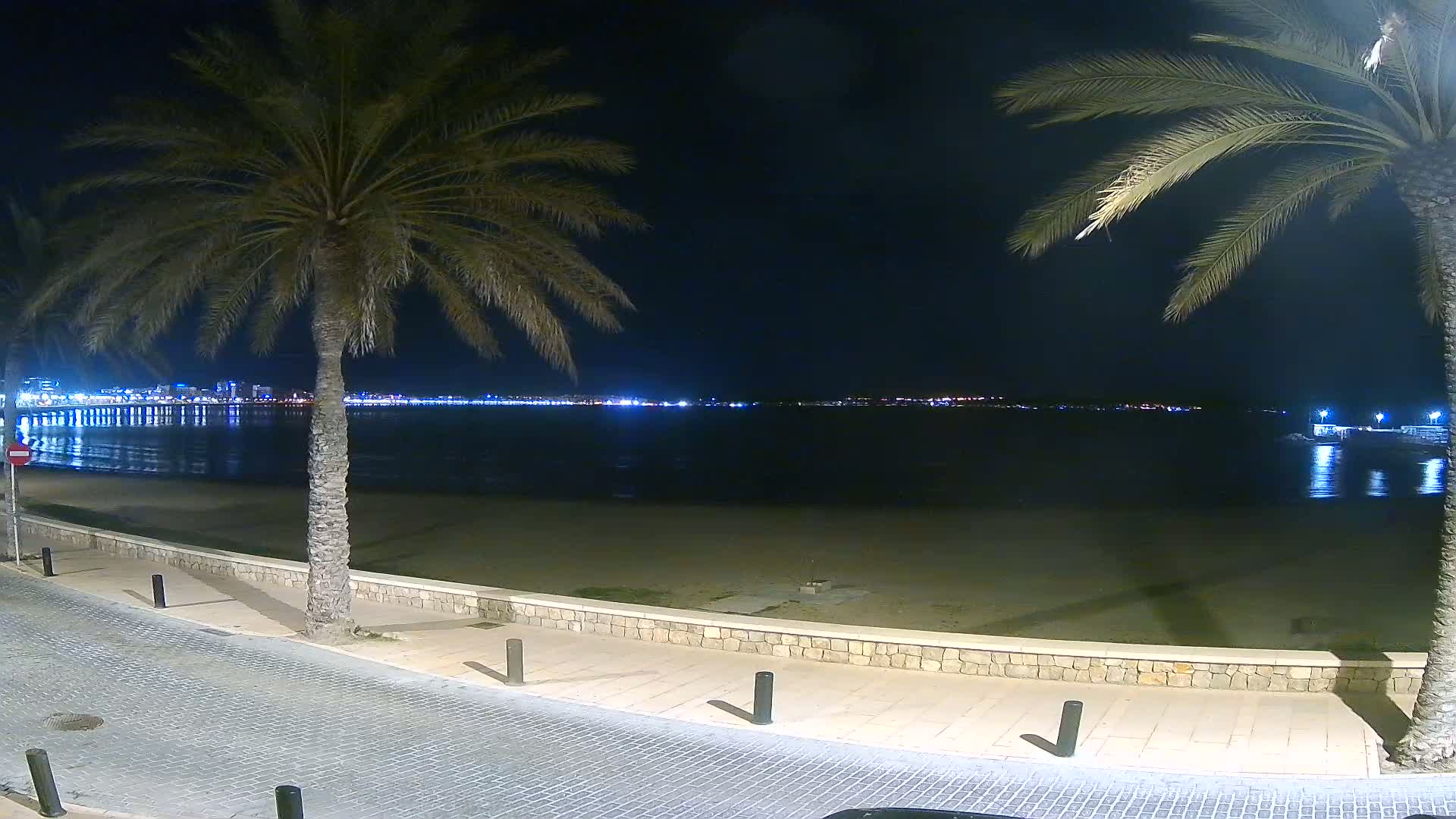 A nighttime view of a calm beach with palm trees lining a paved walkway, overlooking a city skyline across the water.