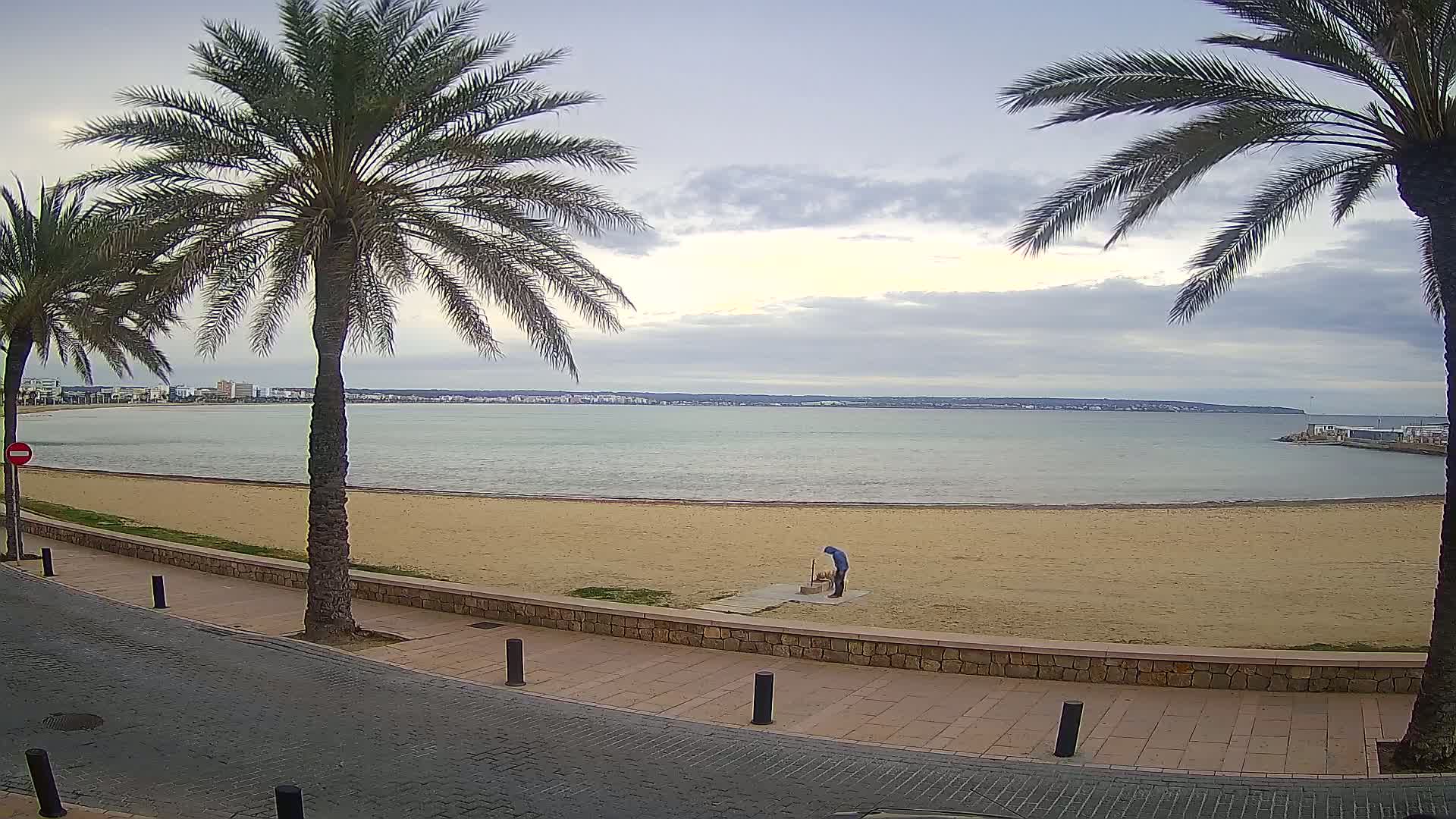 A sandy beach curves along a calm body of water under a cloudy sky, with palm trees lining a paved walkway beside it and a lone person standing on the sand.