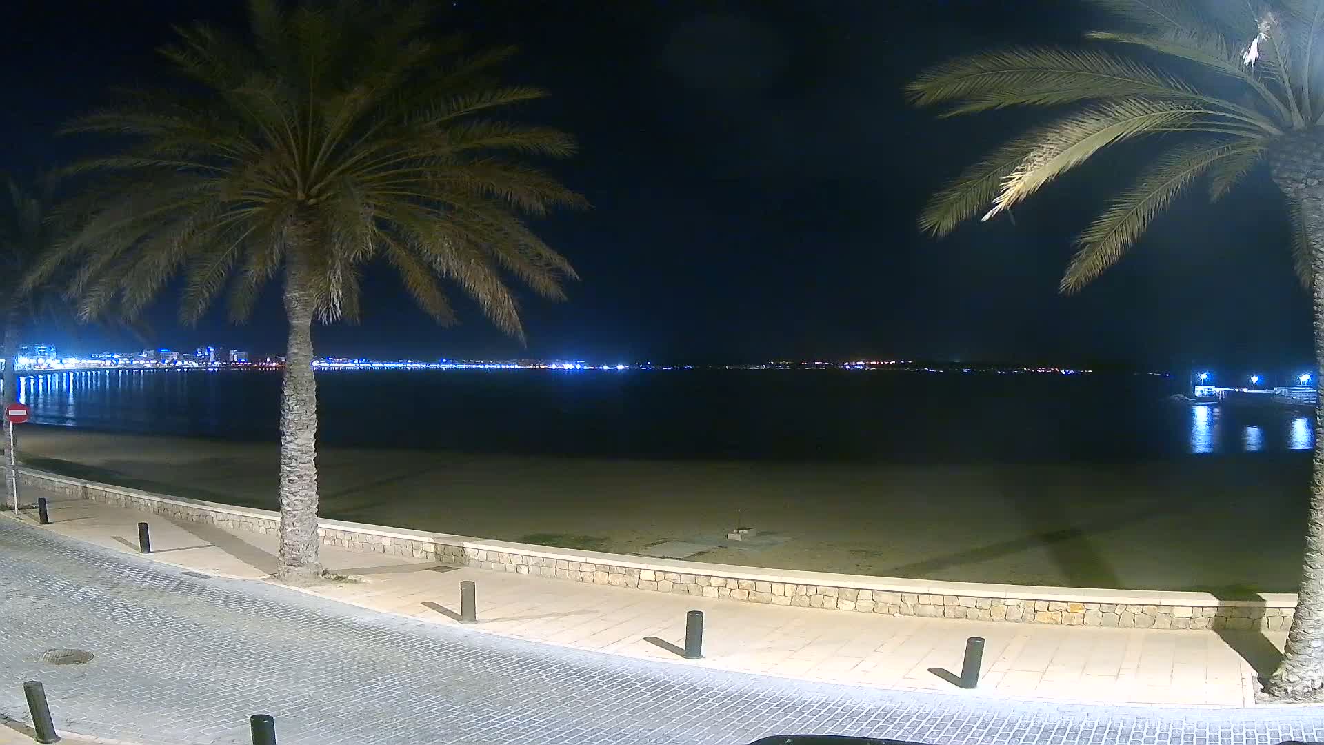 A nighttime view of a sandy beach and calm water, with palm trees framing a city skyline in the distance under a clear sky.