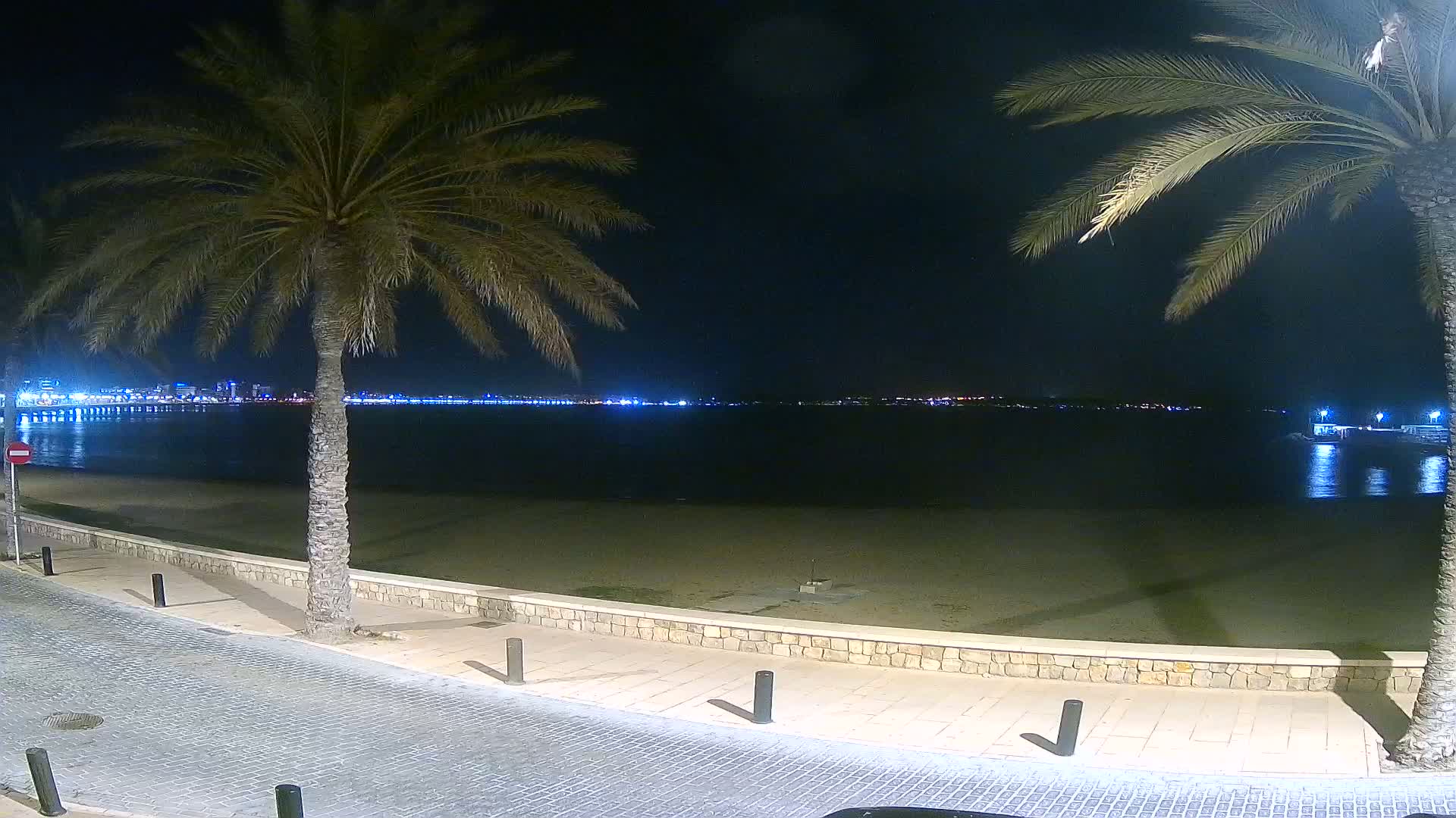 A night-time view of a calm beach with palm trees lining a paved walkway, overlooking a body of water with a city skyline faintly illuminated in the distance.