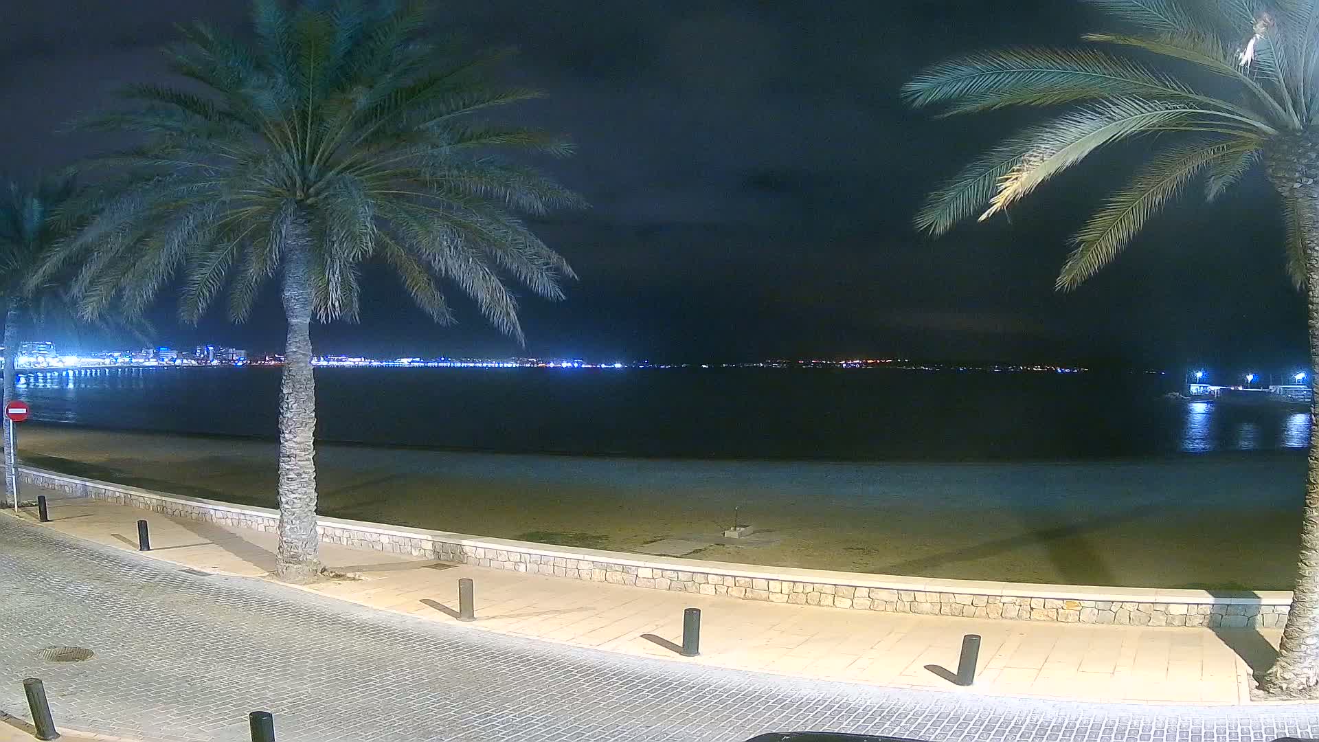 A nighttime view of a sandy beach with palm trees lining a paved walkway, overlooking a calm body of water with a city skyline faintly illuminated in the distance.