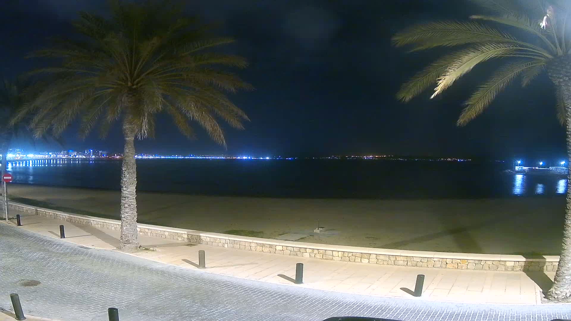 A nighttime view of a sandy beach, palm trees, and a city skyline across the water under a dark, clear sky.