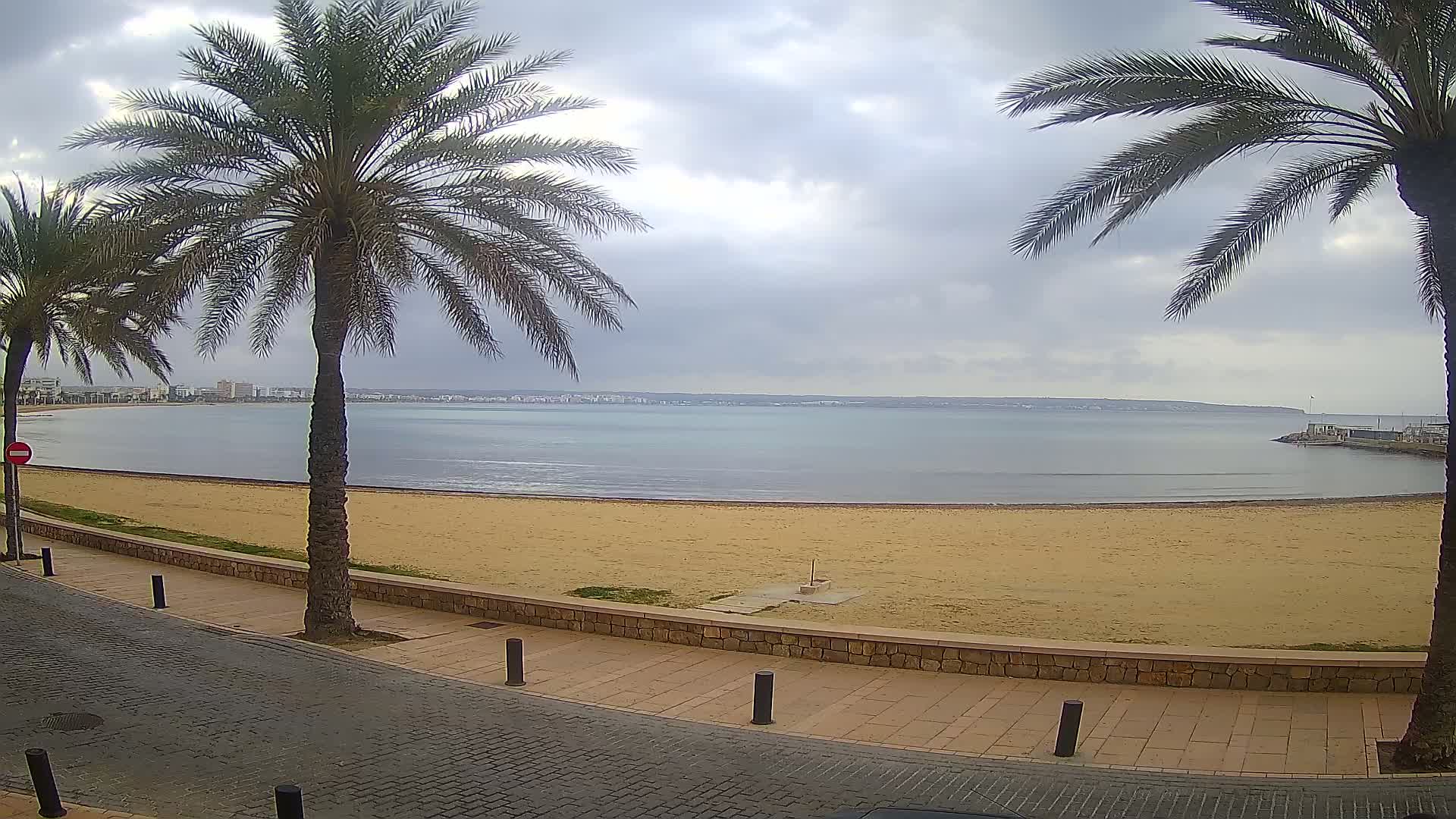 A sandy beach stretches along a calm bay under a cloudy sky, with palm trees lining a paved walkway.
