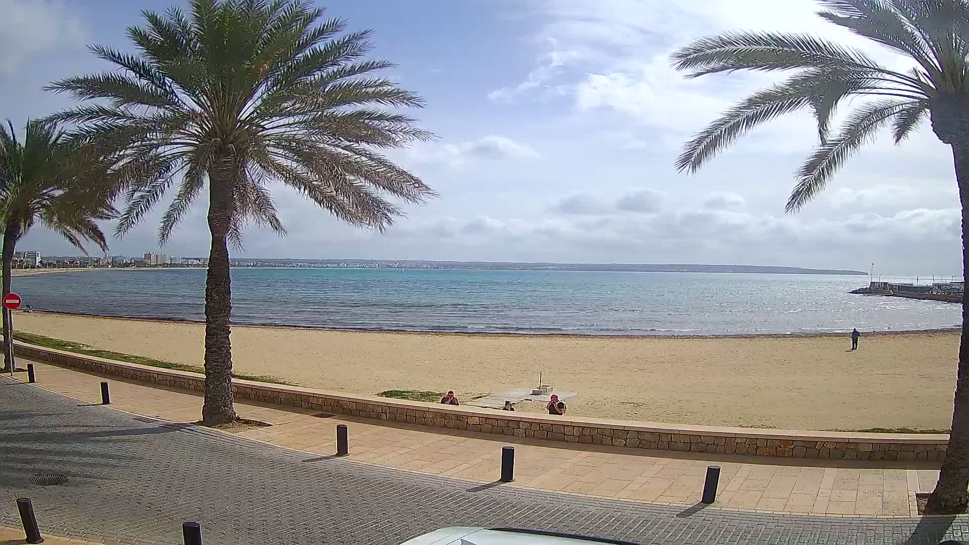 A sandy beach with calm, light-blue water stretches out to a distant shoreline under a partly cloudy sky, framed by palm trees and a paved walkway.