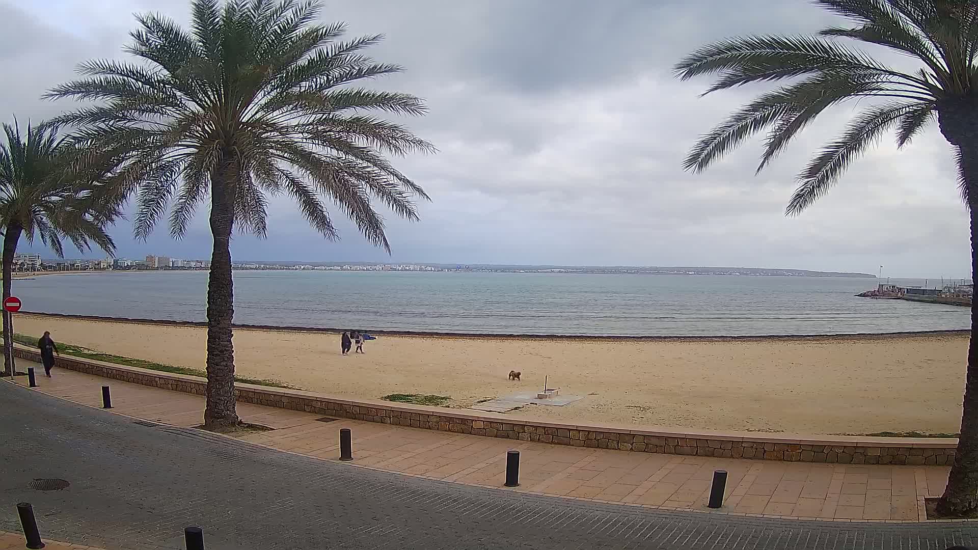 A sandy beach with palm trees lining a paved walkway overlooks a calm, grey-skied ocean with a distant coastline.