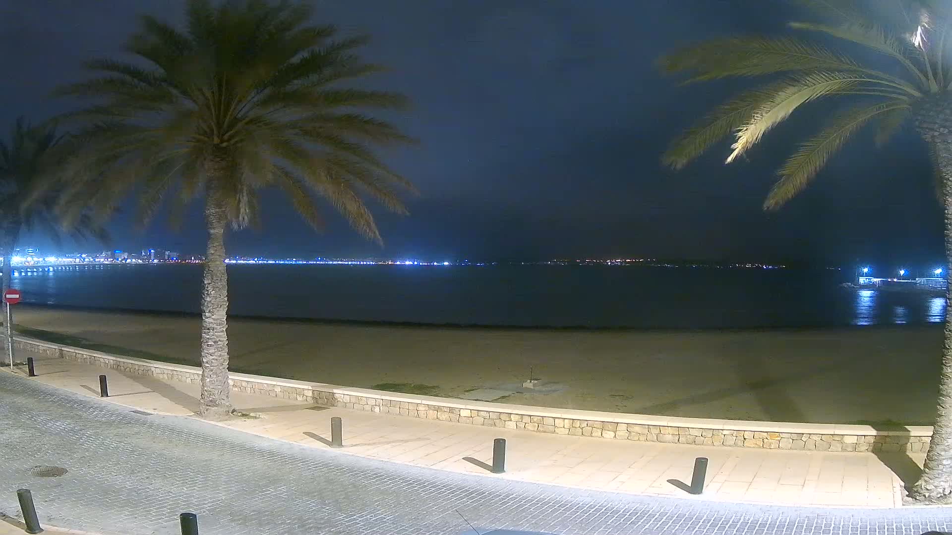 A nighttime view of a sandy beach with palm trees, a stone walkway, and a city skyline visible across the calm water.