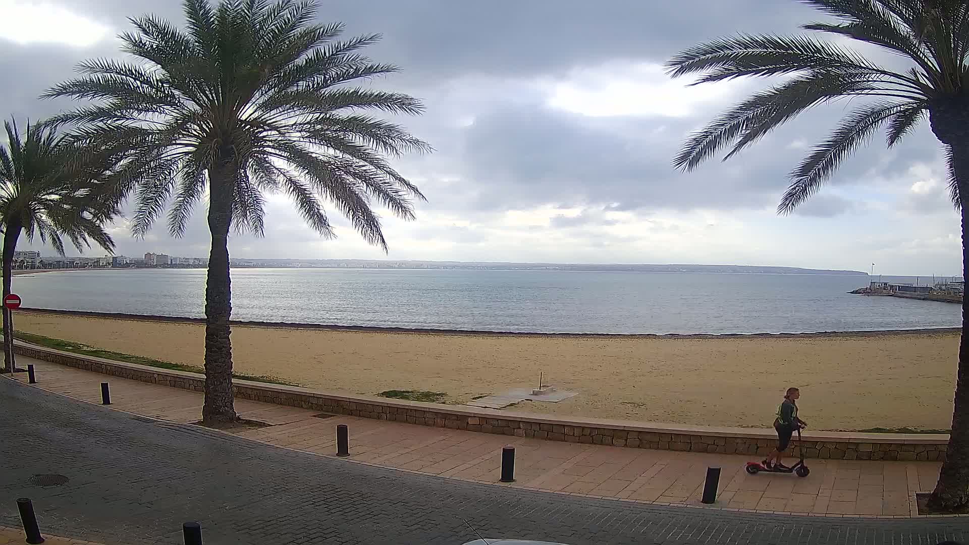 A person rides an electric scooter along a paved walkway next to a sandy beach and calm ocean under a cloudy sky.