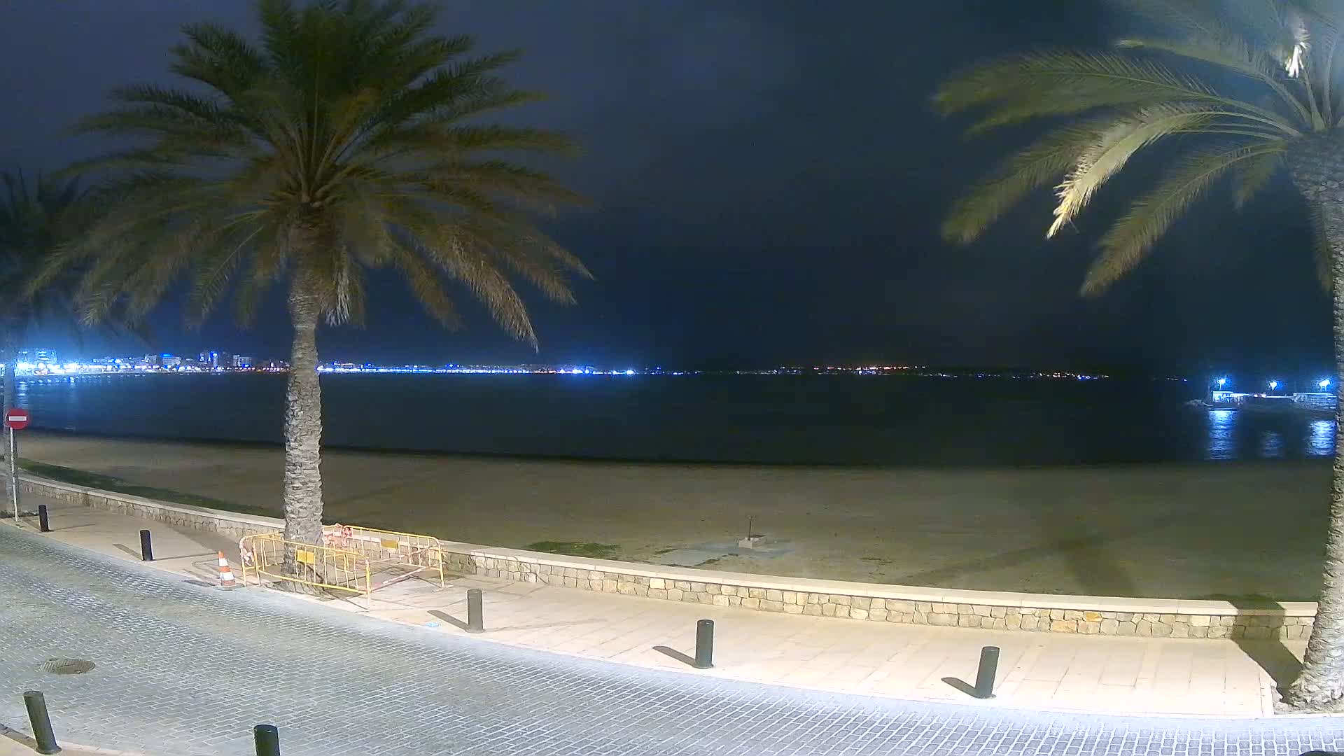 At night, a sandy beach and paved walkway are bordered by palm trees, overlooking a calm body of water with a city skyline illuminated in the distance.