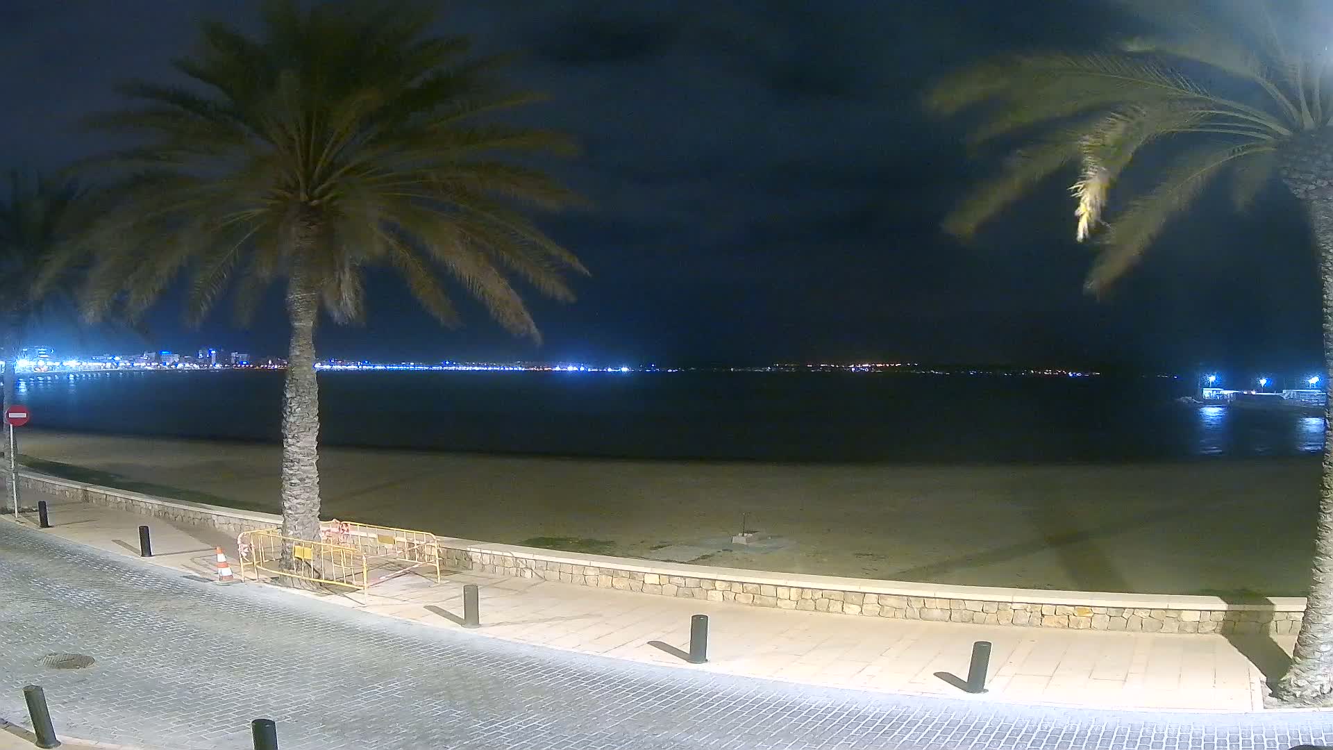 A nighttime view of a sandy beach and calm sea, with palm trees and a city skyline illuminated in the distance under a dark sky.