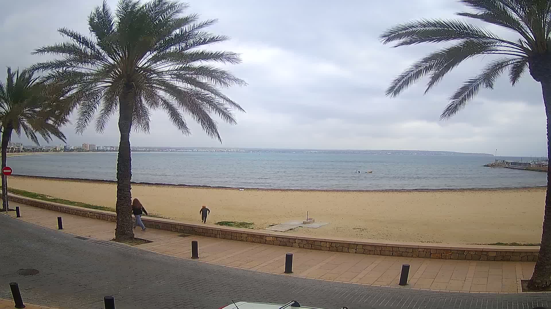 Two people walk along a paved beachfront path beside a sandy beach and calm, gray water under an overcast sky, palm trees lining the path.