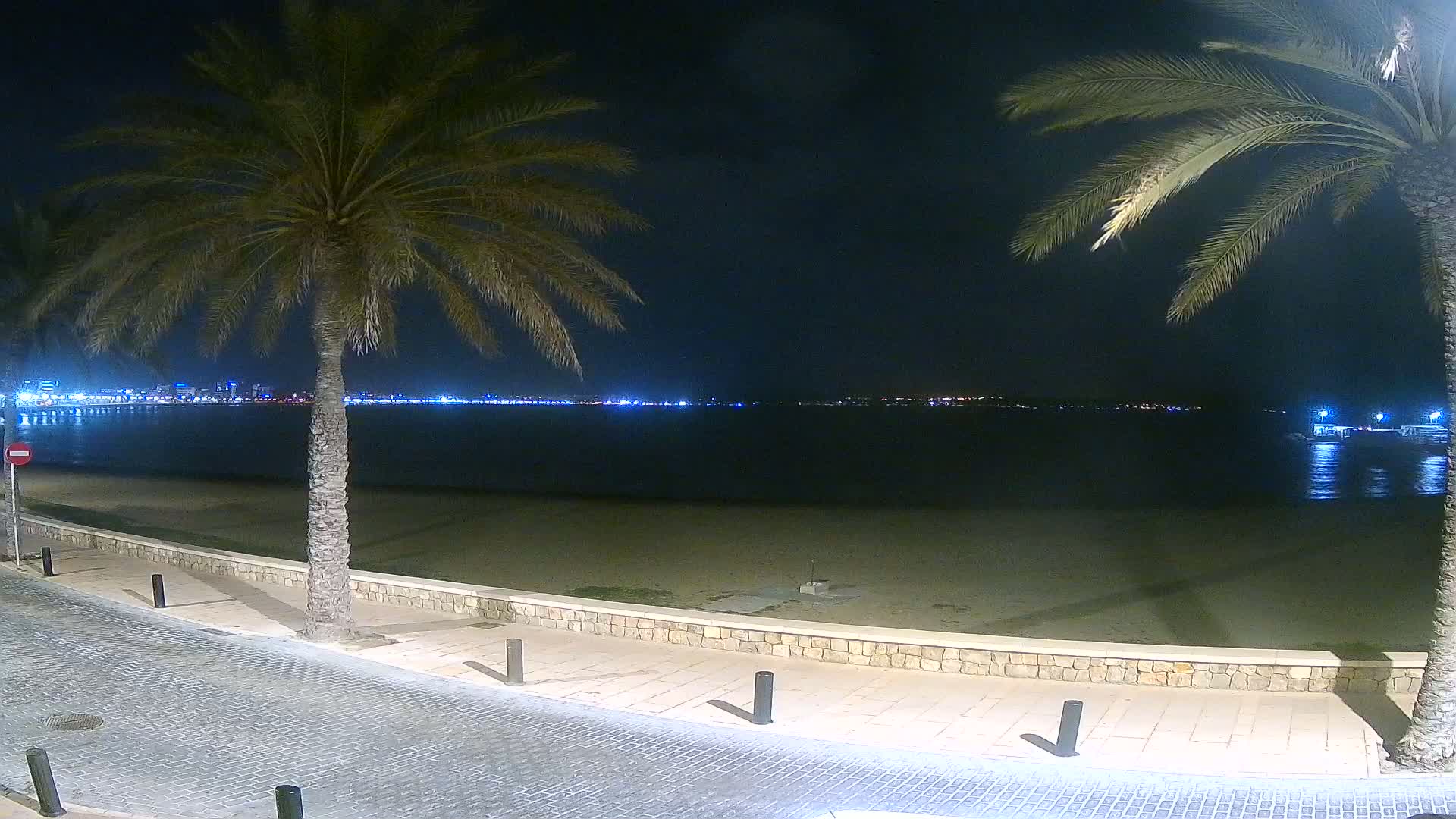 At night, a sandy beach bordered by a stone wall and palm trees overlooks a calm body of water with a city skyline illuminated in the distance.