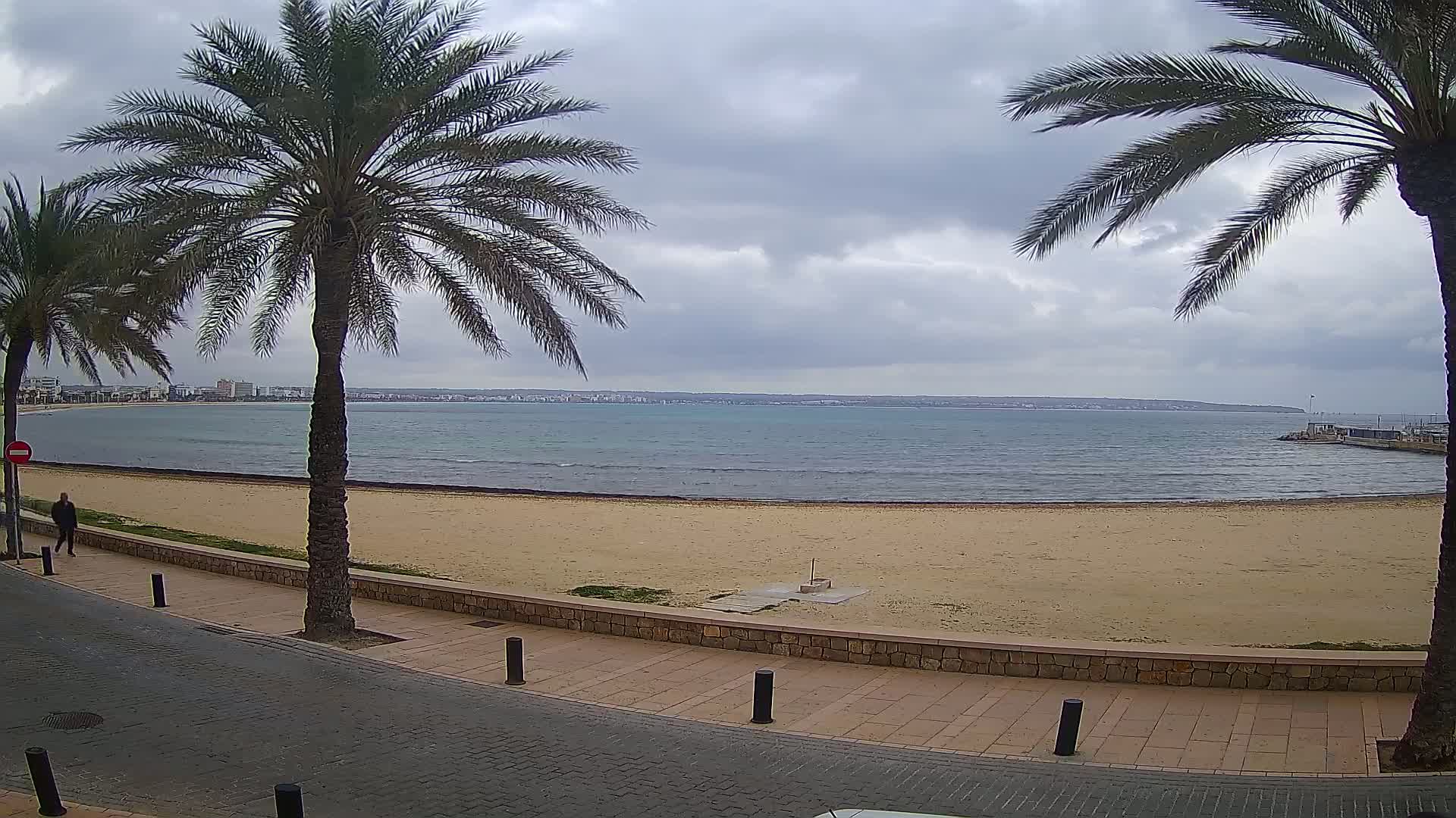 A sandy beach with palm trees lines a paved walkway beside calm, gray water under an overcast sky.
