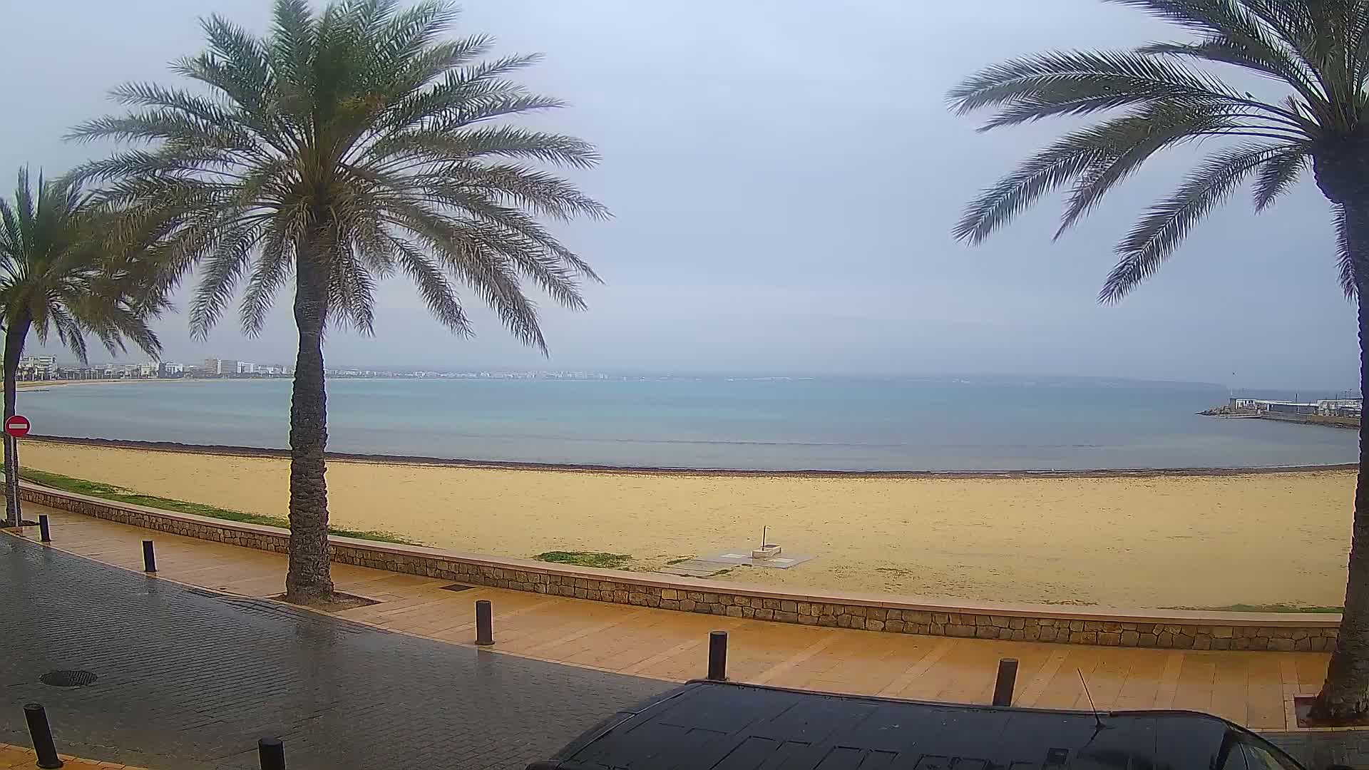 A wet sandy beach with palm trees lines a paved walkway overlooking a calm sea under an overcast sky.