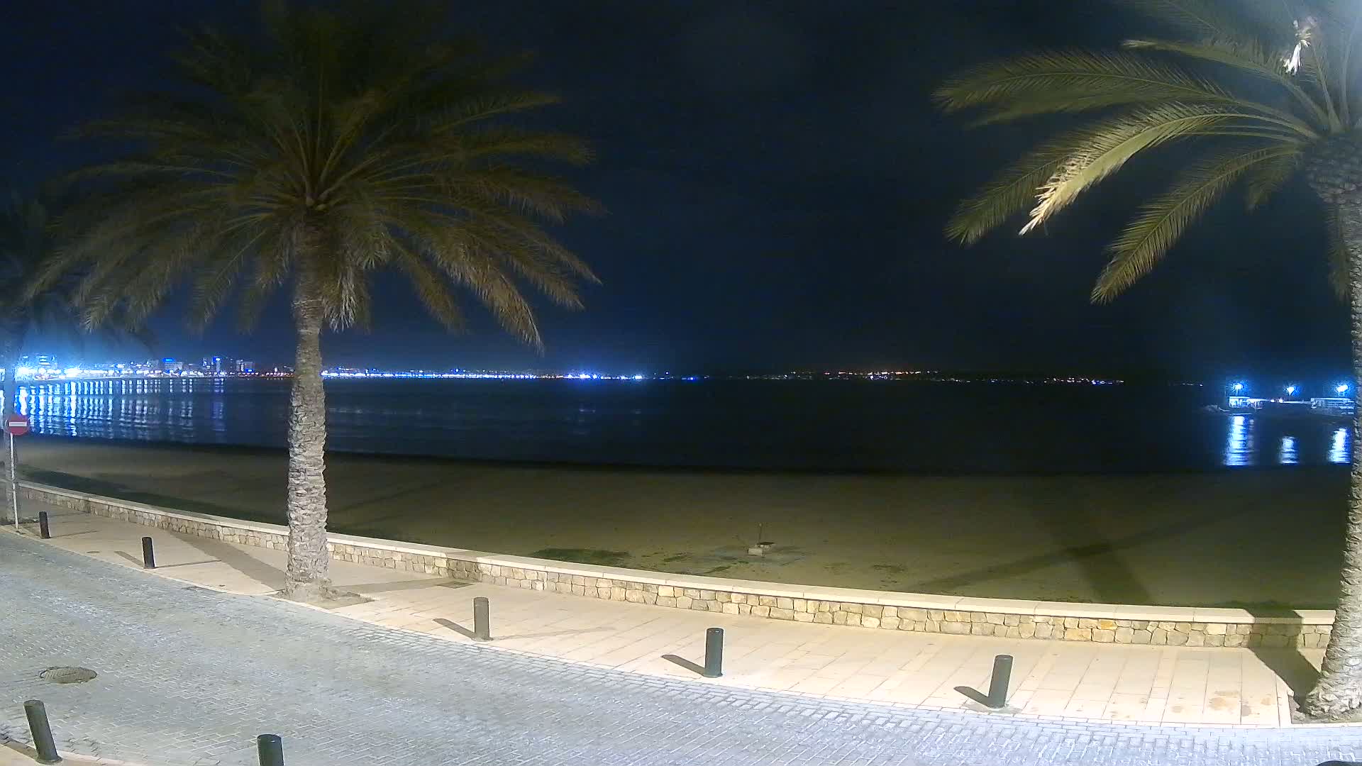 A nighttime view of a calm beach with palm trees, a stone walkway, and a city skyline illuminated across the water.